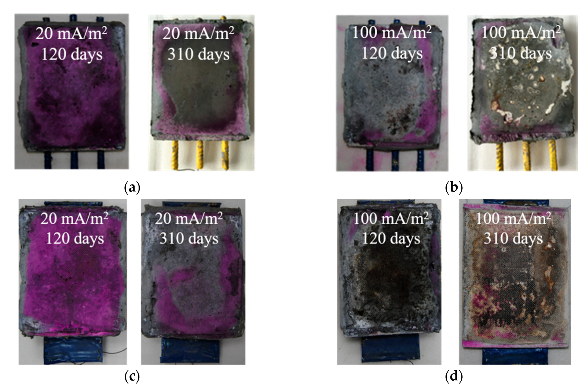 Materials 13 00222 g008 Materials 13 00222 g008