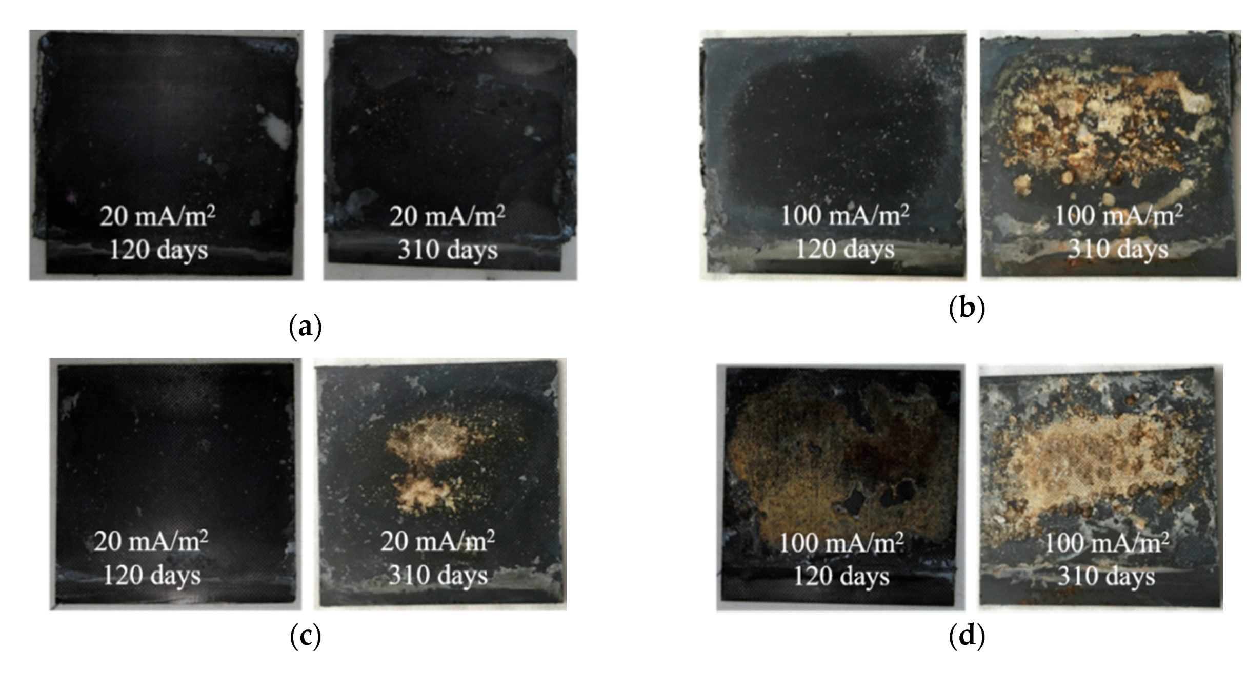 Materials 13 00222 g009 Materials 13 00222 g009