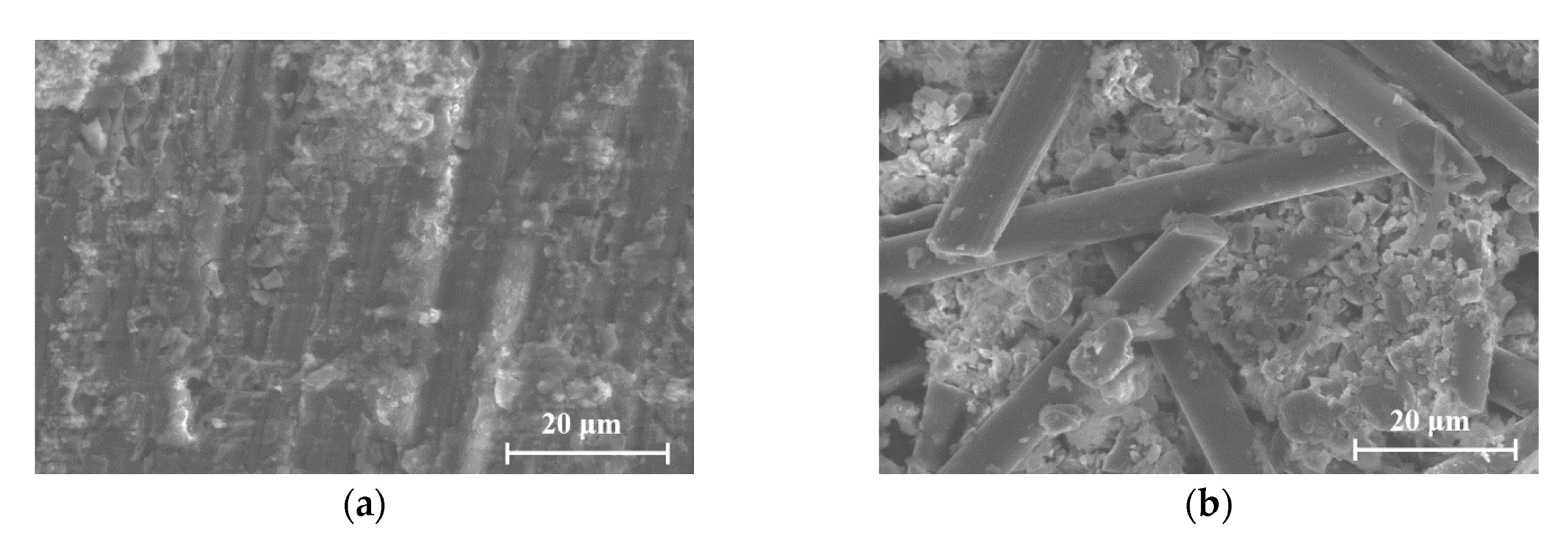 Materials 13 00222 g010 Materials 13 00222 g010