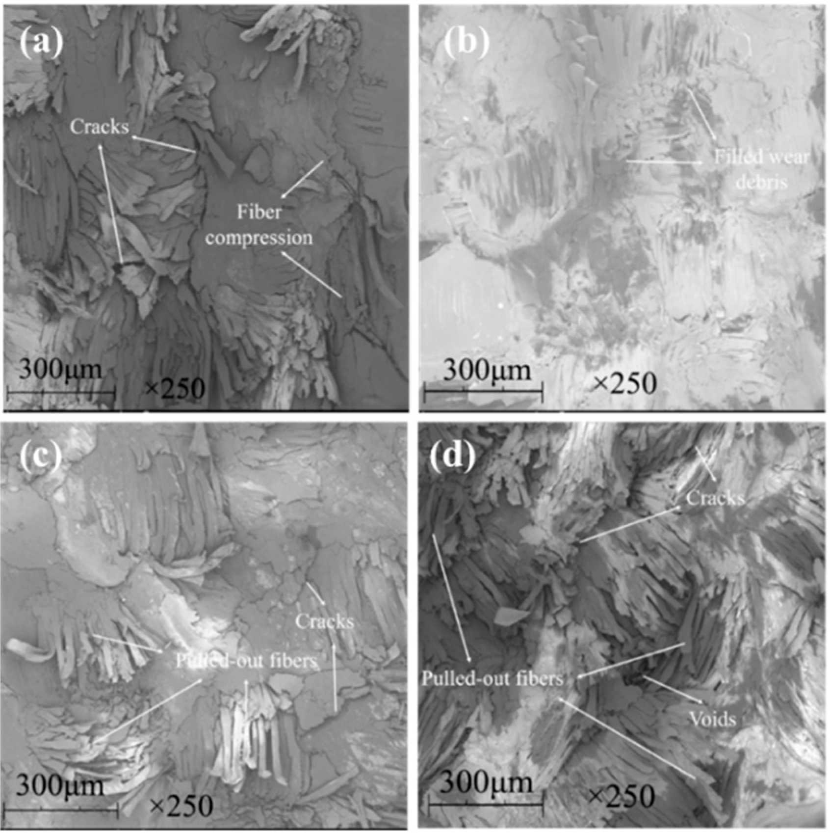 Materials 13 00232 g018