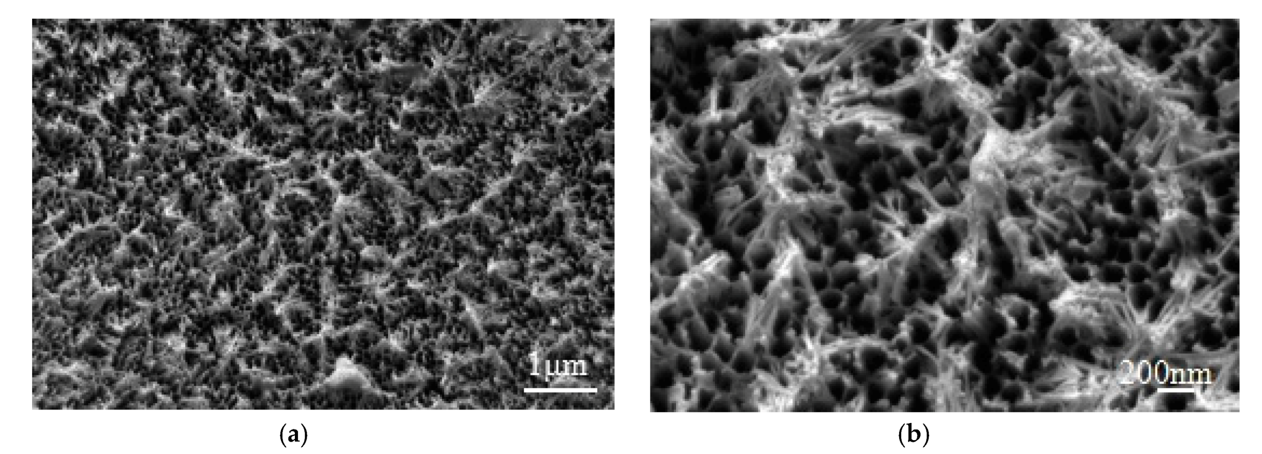 Materials 13 00236 g007