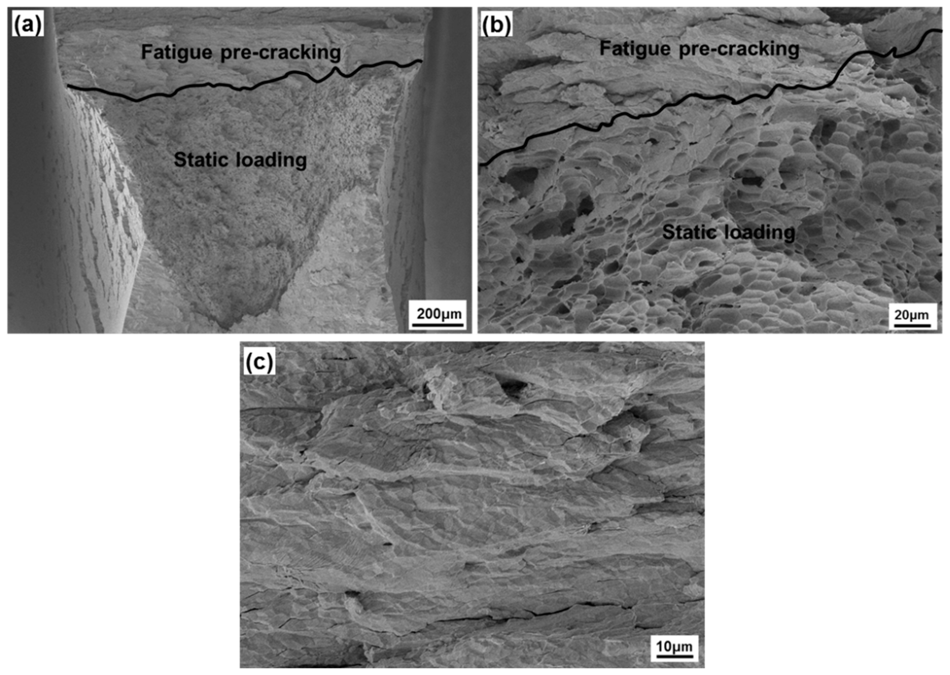 Materials 13 00244 g007