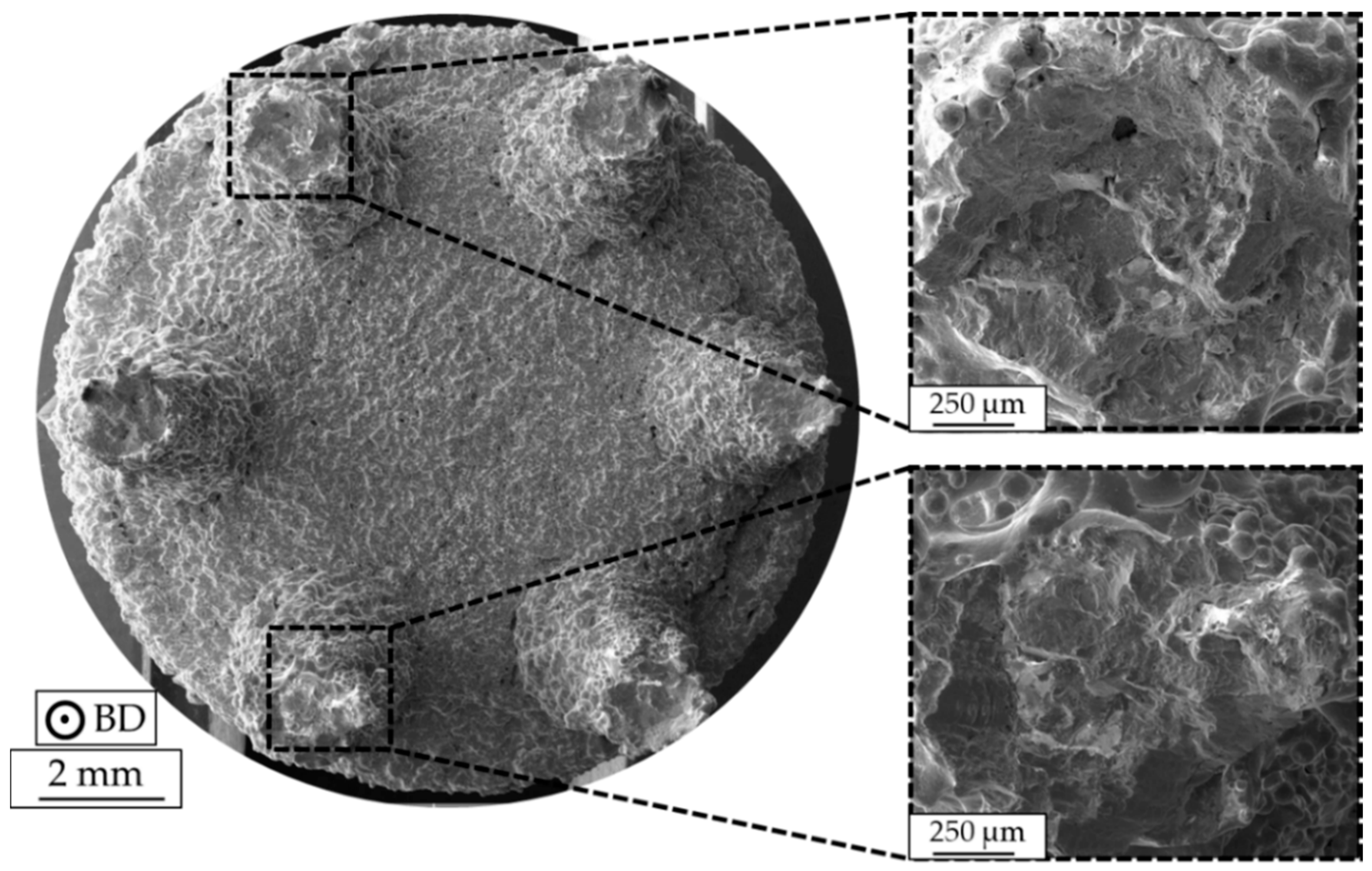 Materials 13 00247 g012