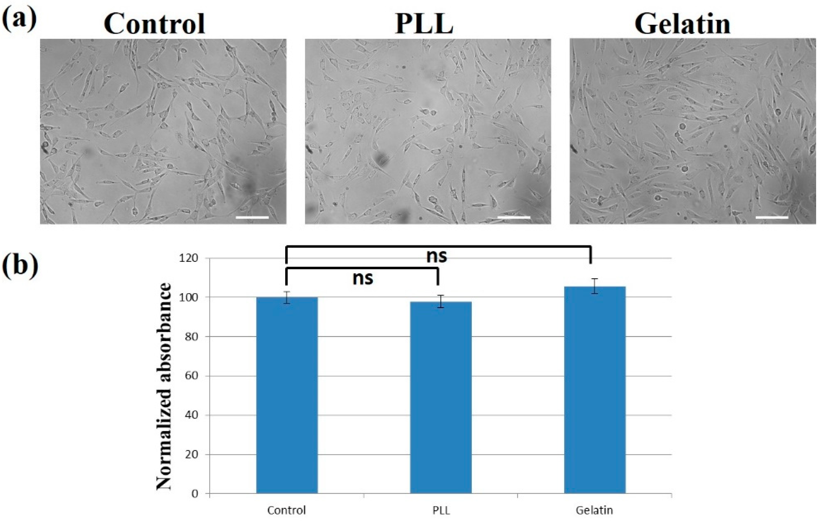 Materials 13 00248 g002 Materials 13 00248 g002