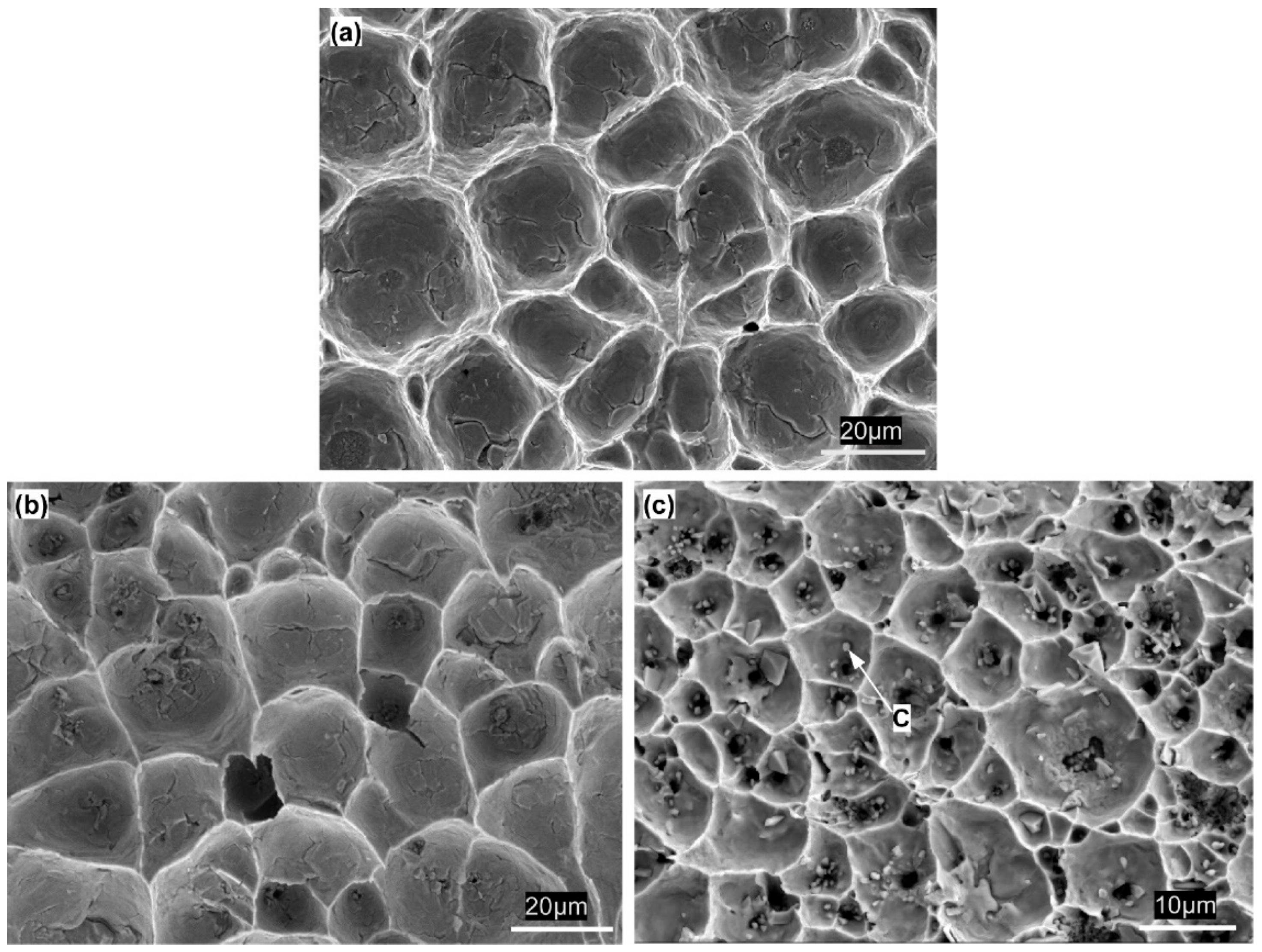 Materials 13 00252 g007