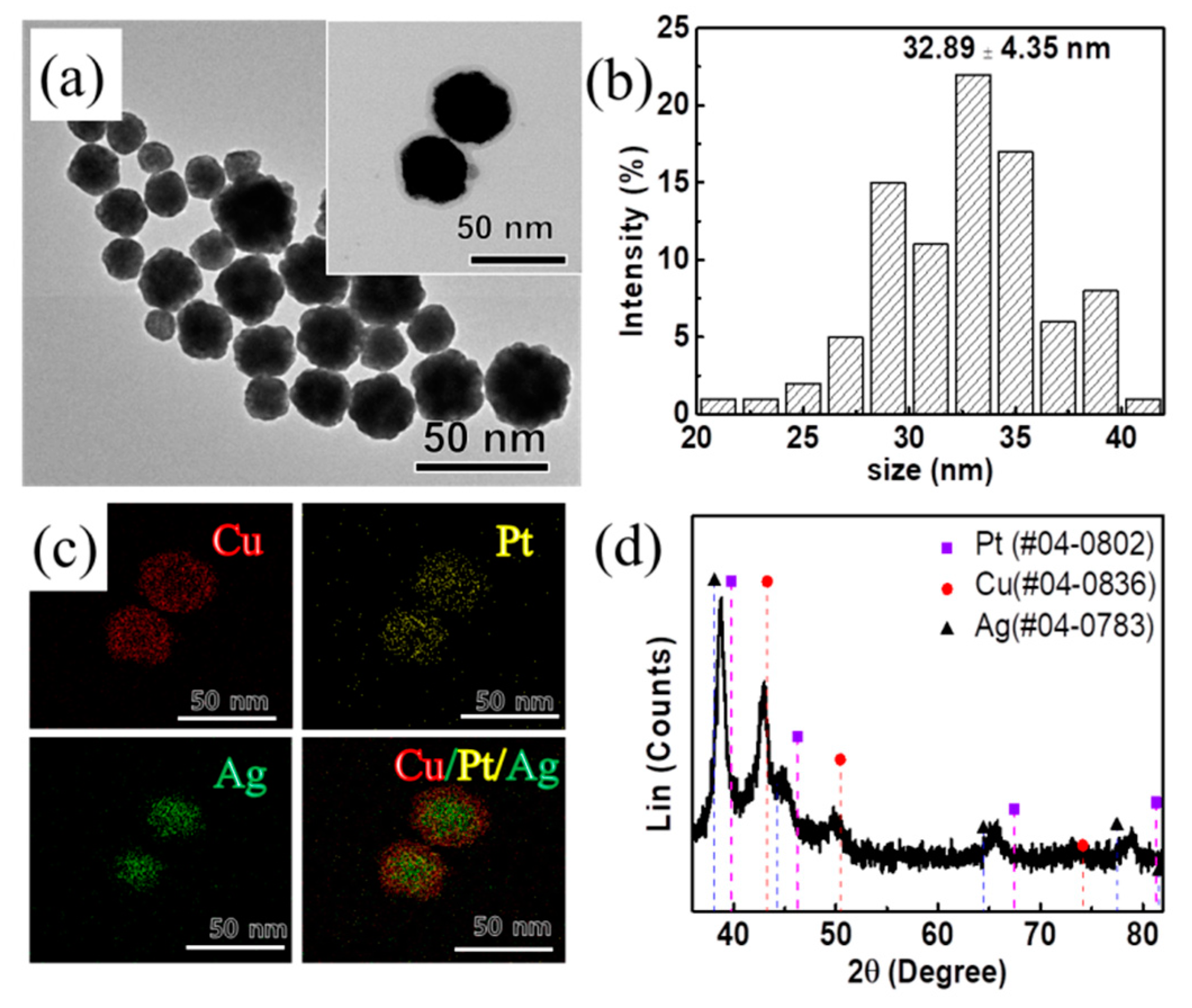 Materials 13 00254 g004 Materials 13 00254 g004