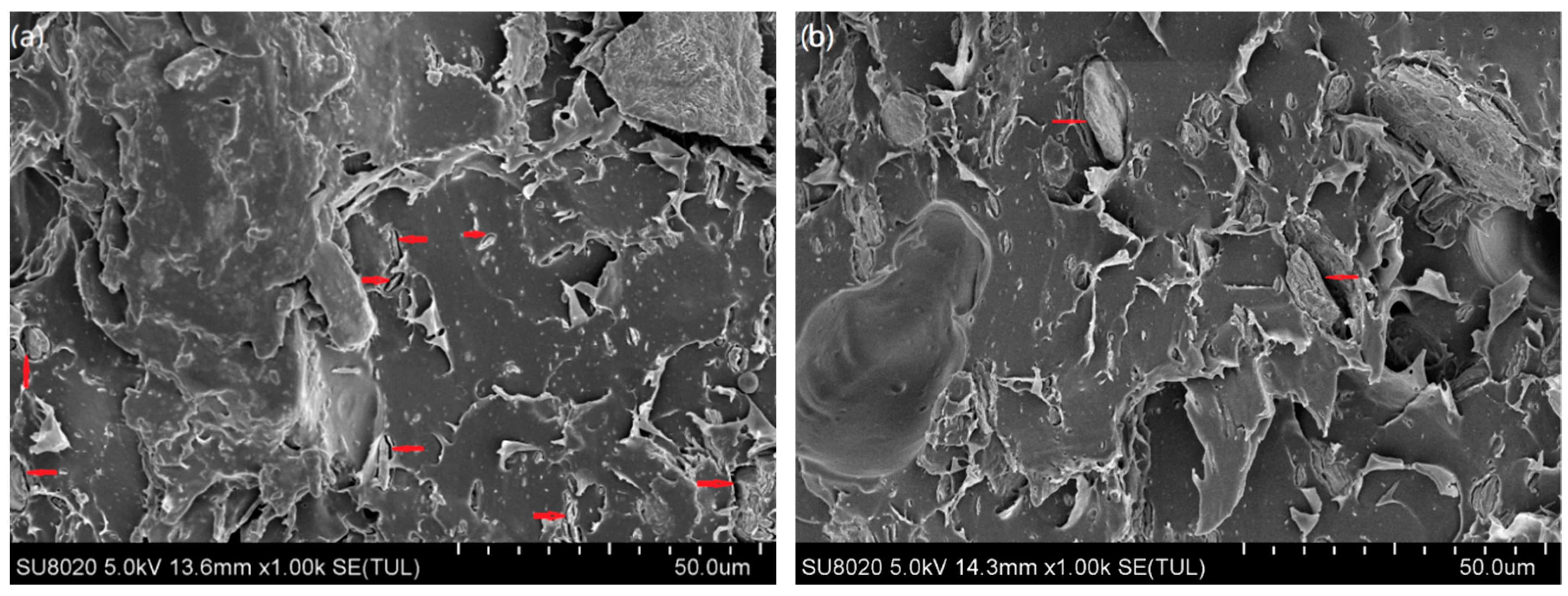 Materials 13 00258 g007a