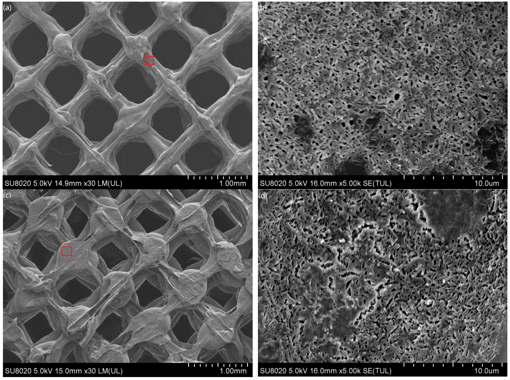 Materials 13 00258 g010a