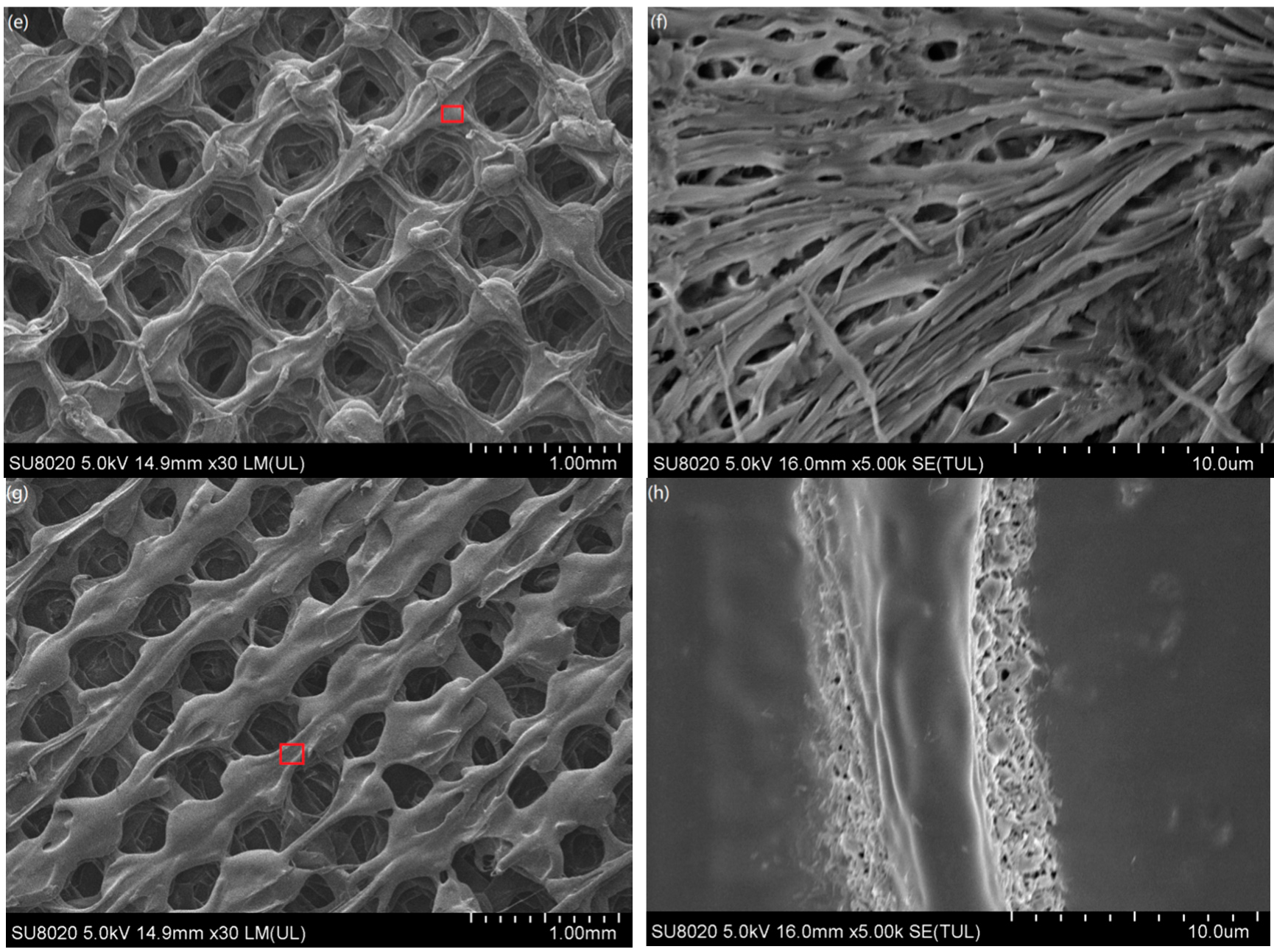 Materials 13 00258 g010b