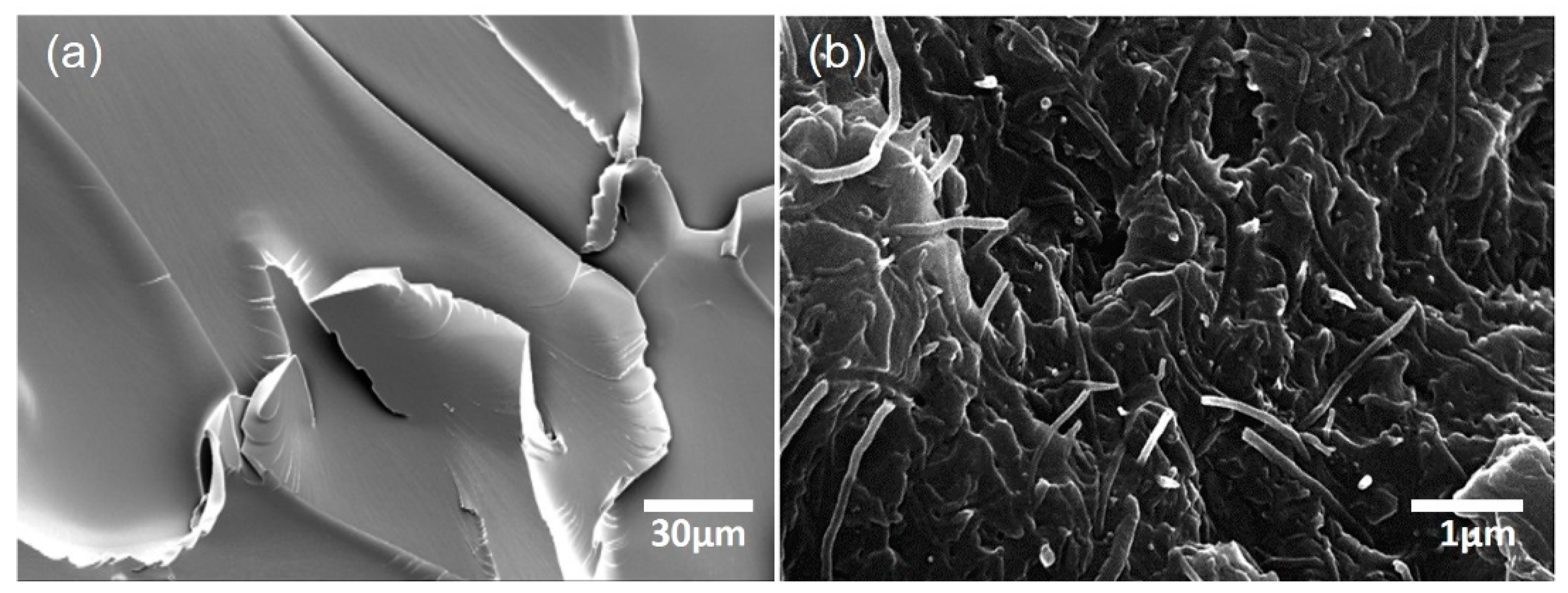 Materials 13 00259 g003