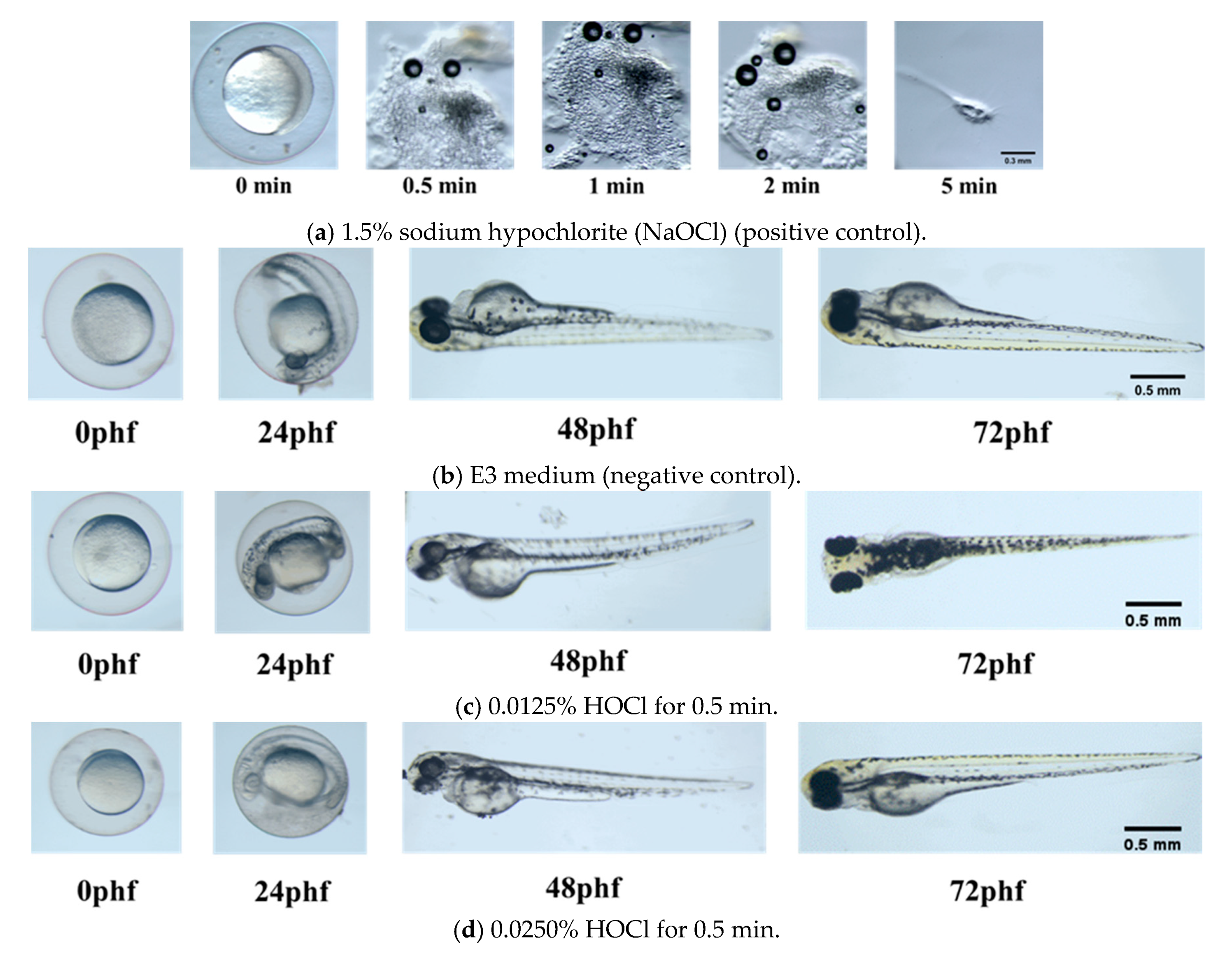 Materials 13 00260 g001
