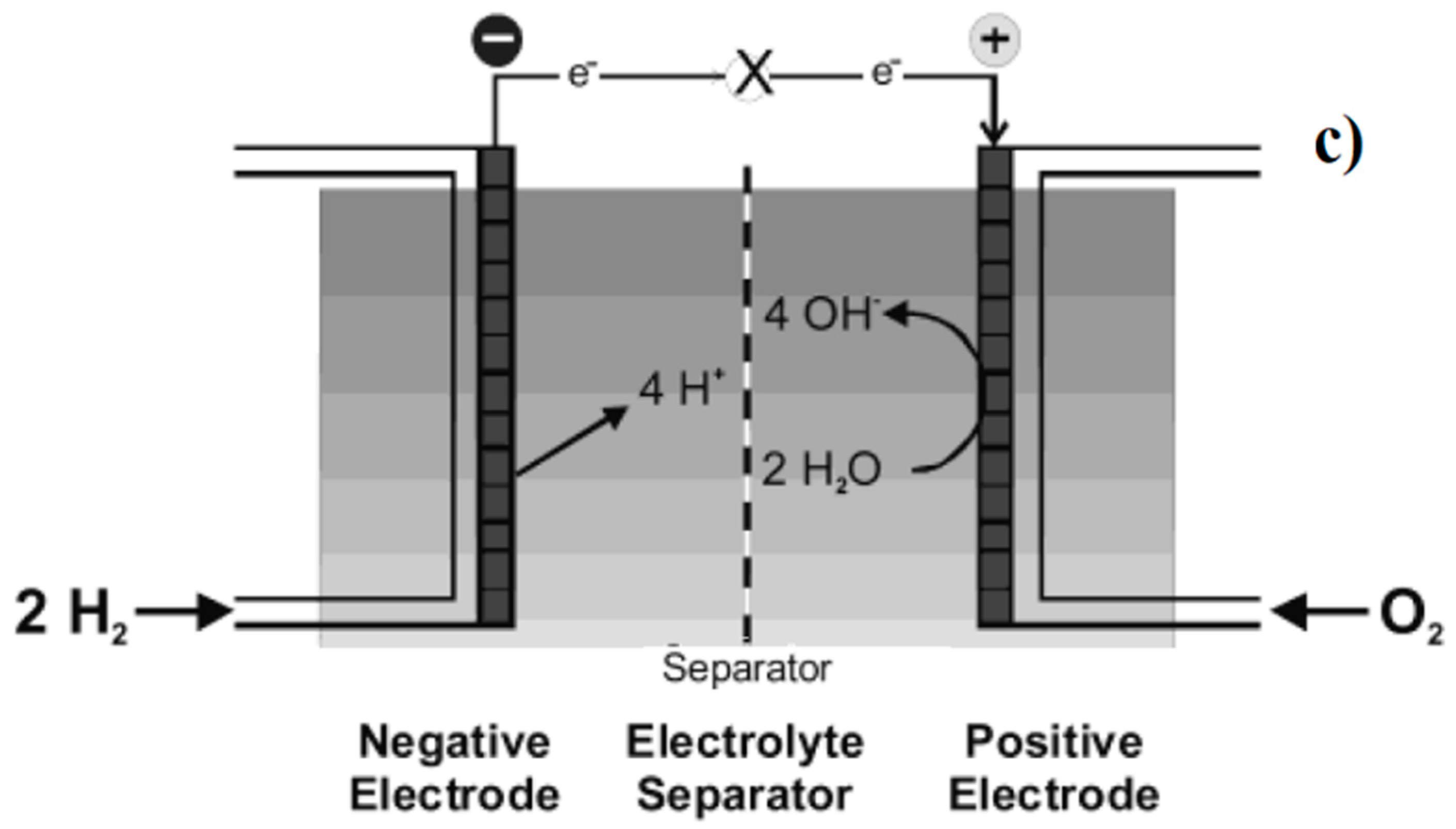 Materials 13 00261 g005b