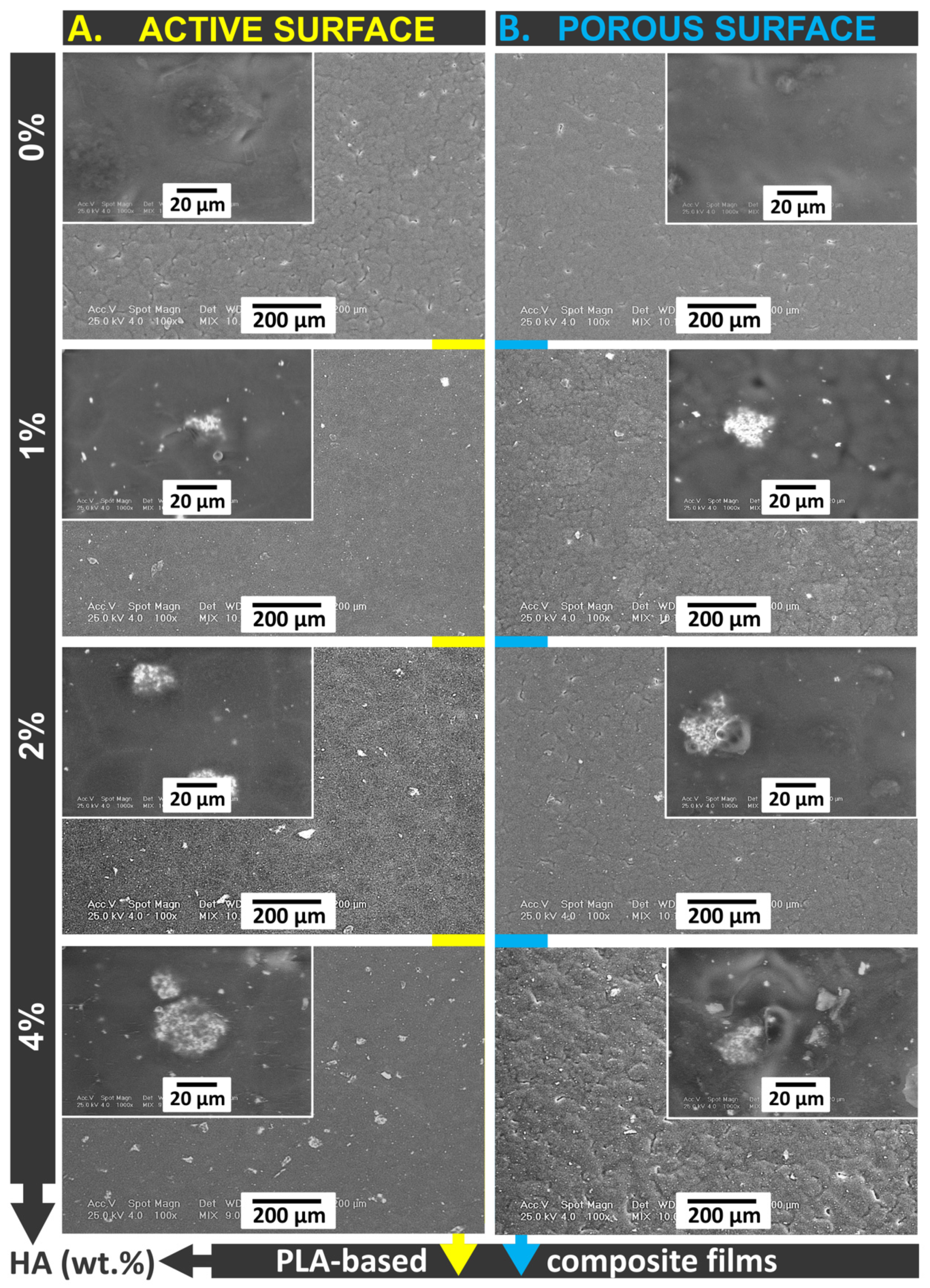 Materials 13 00274 g005