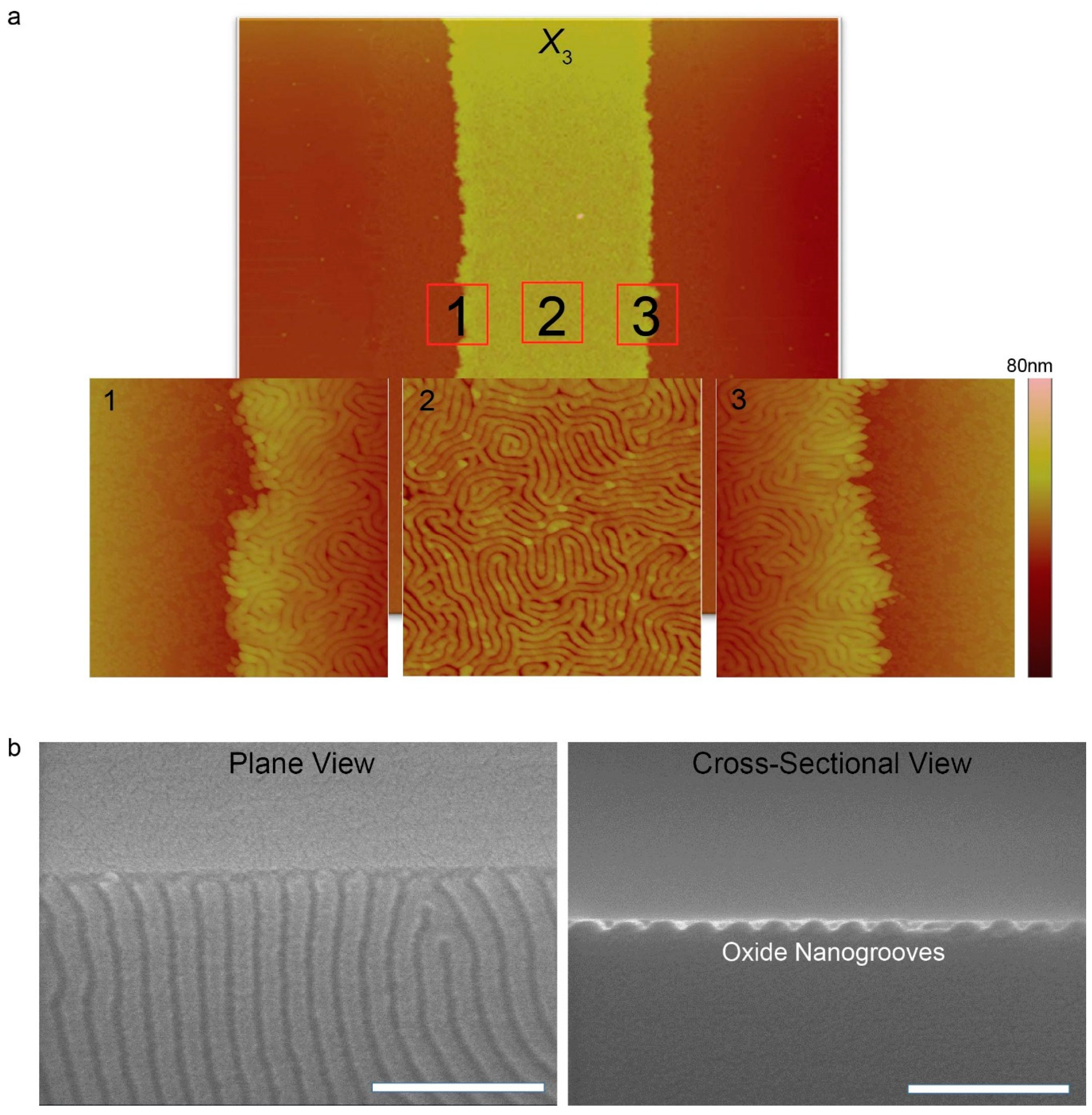 Materials 13 00304 g004