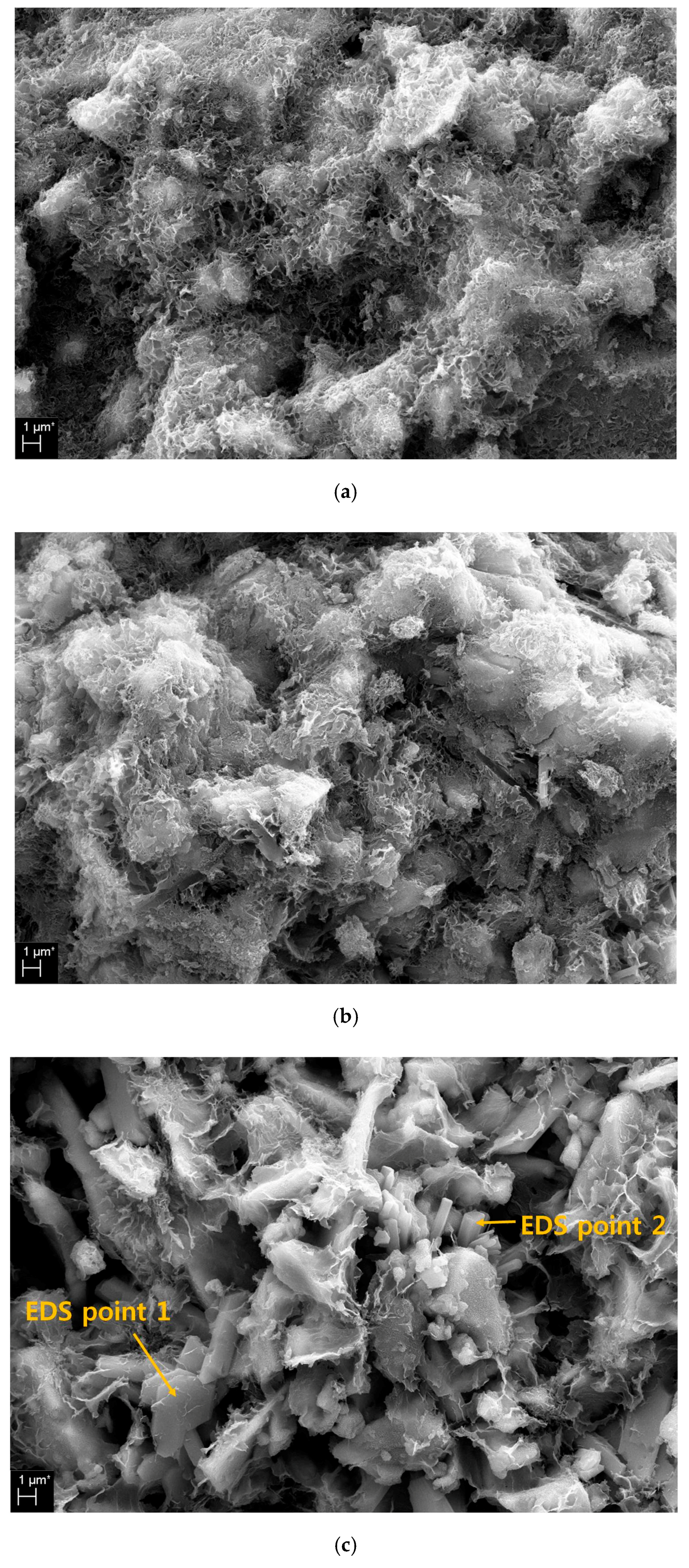 Materials 13 00305 g006