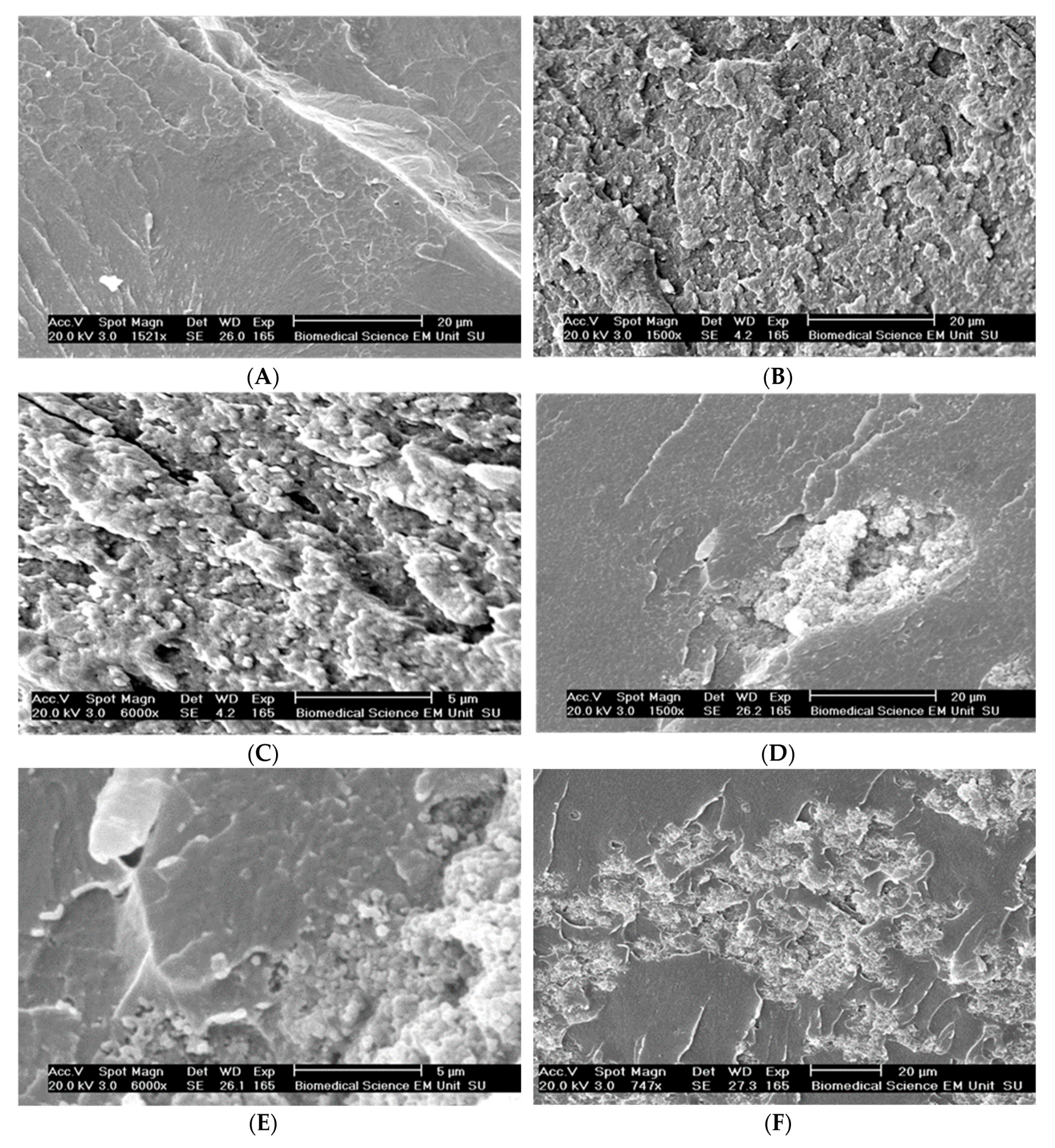 Materials 13 00307 g015a