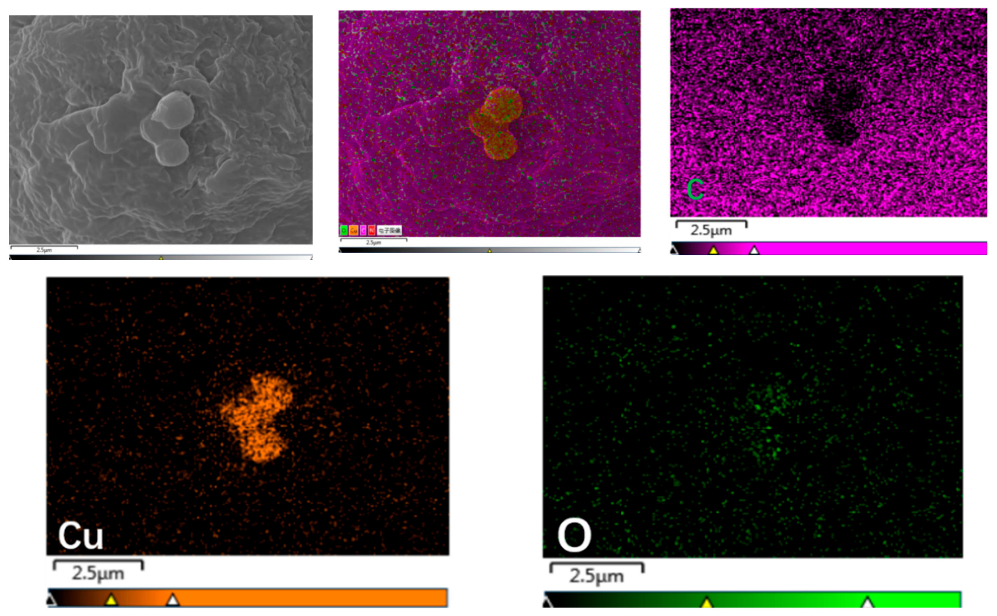 Materials 13 00309 g005
