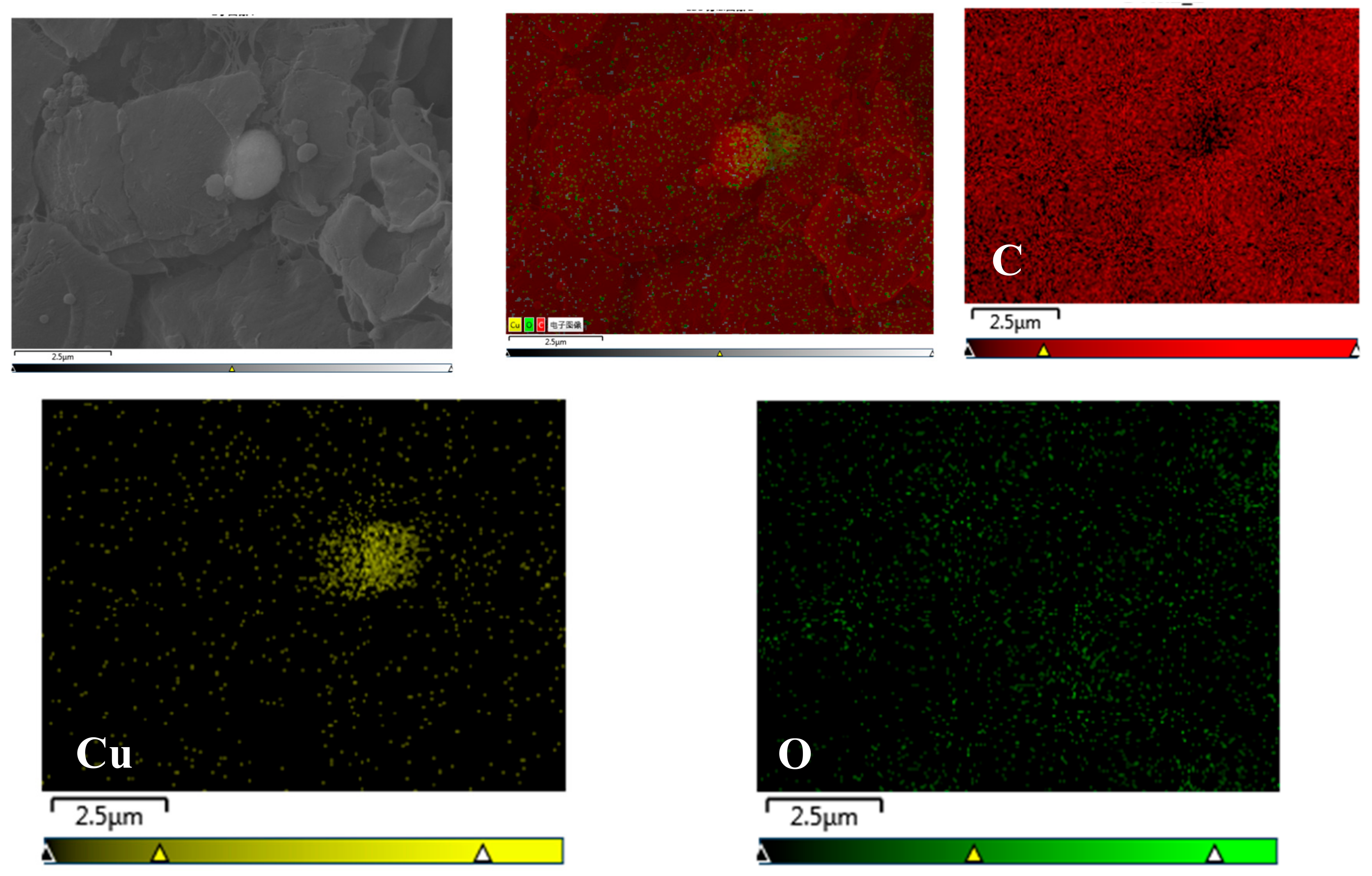 Materials 13 00309 g006