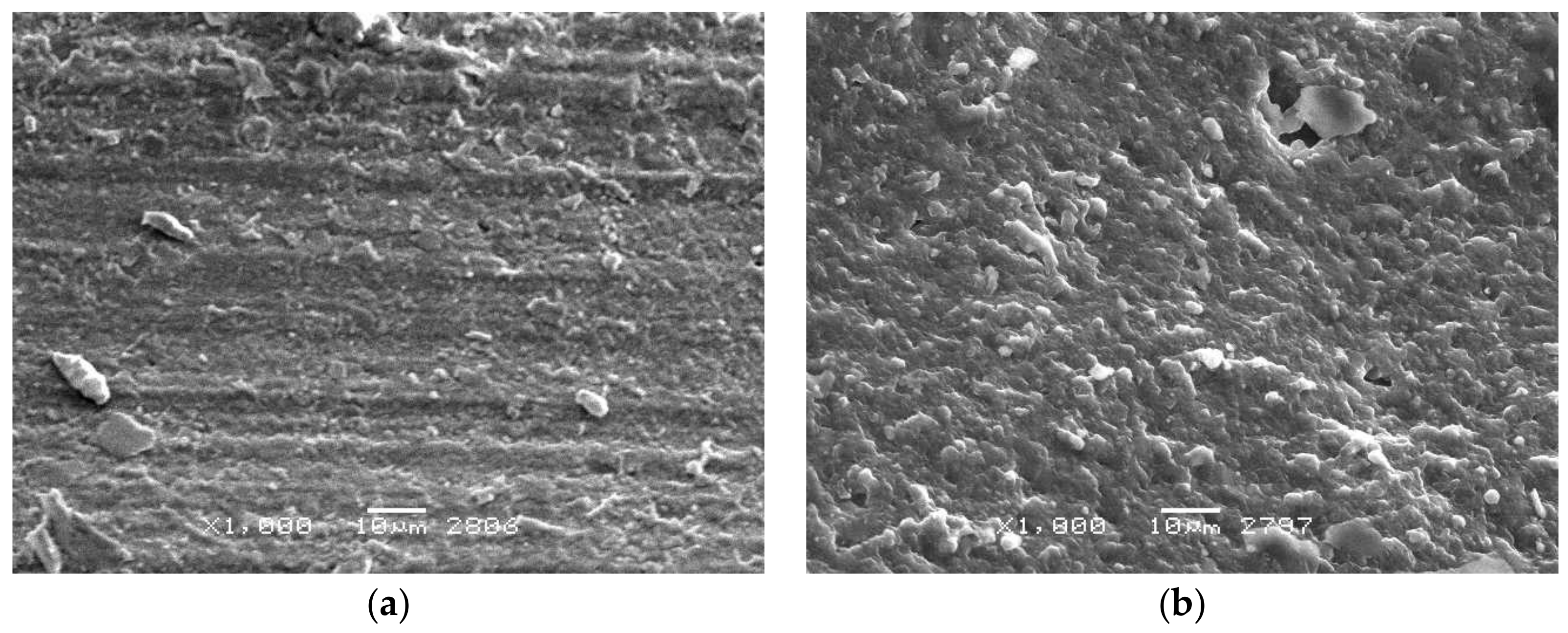 Materials 13 00311 g009