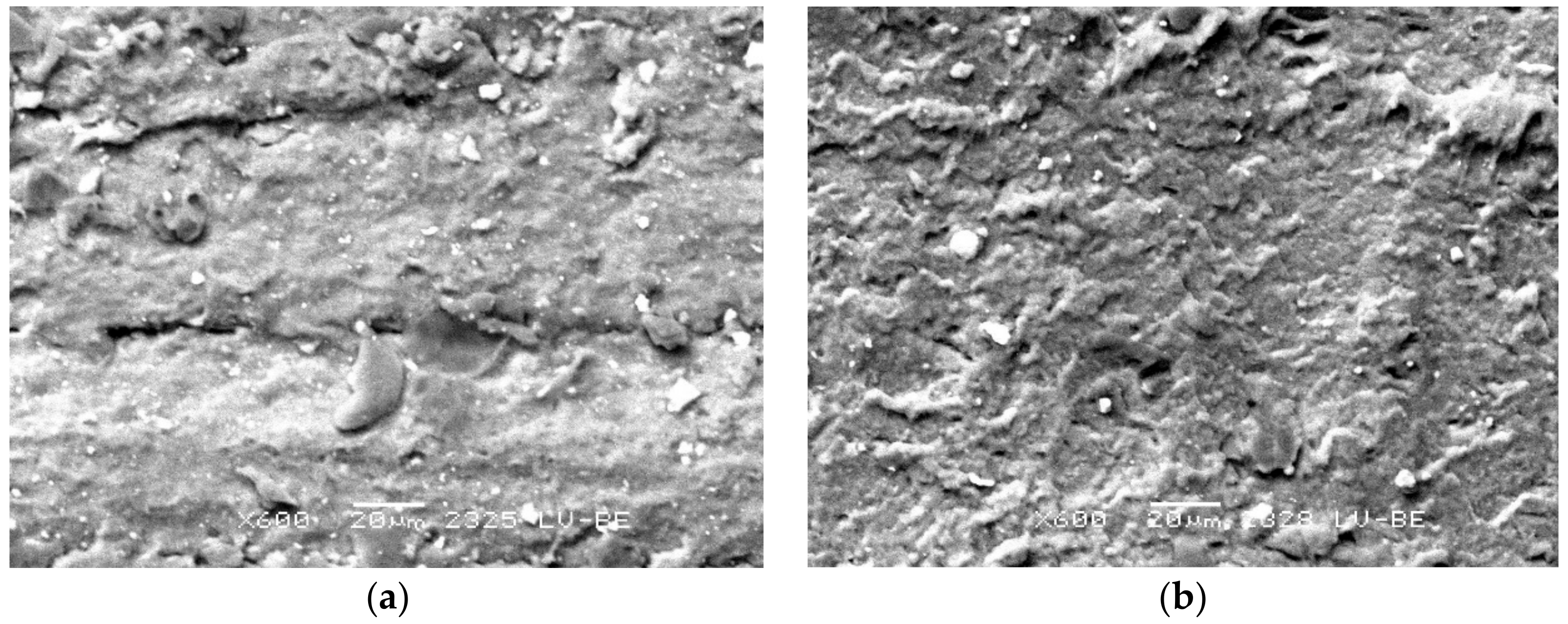 Materials 13 00311 g010