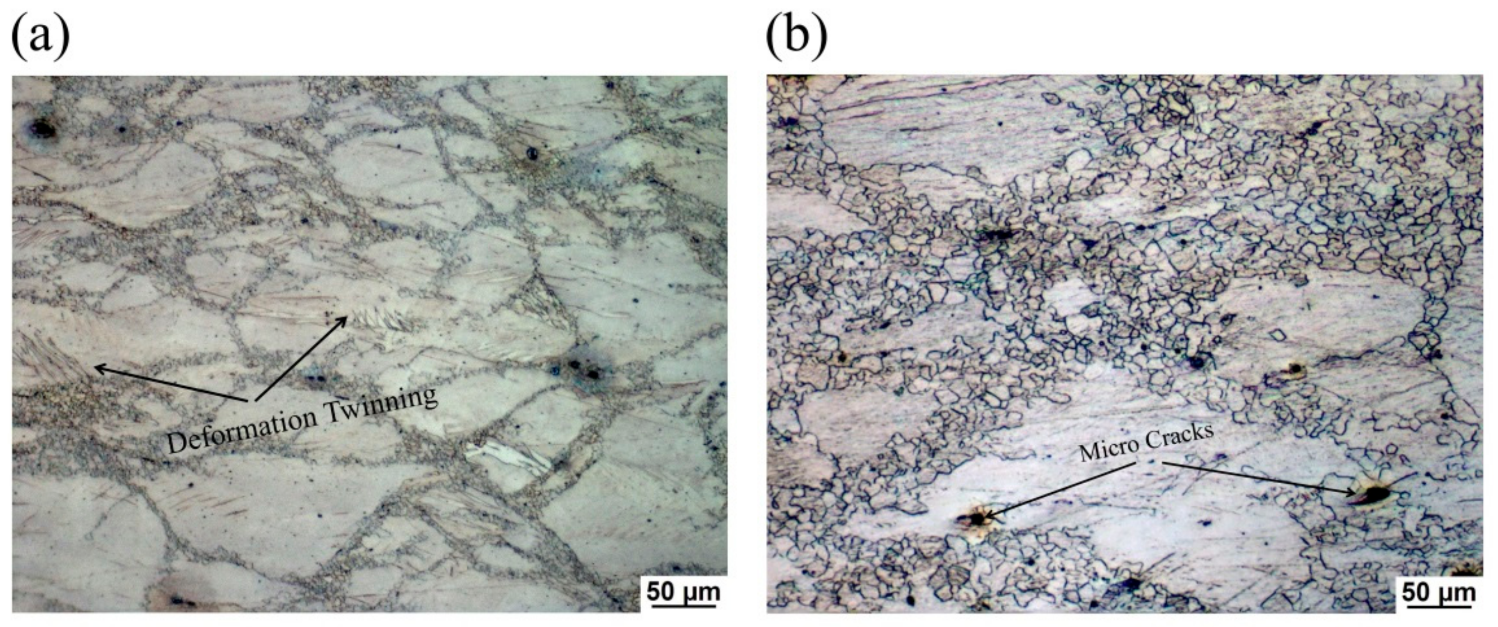 Materials 13 00312 g009