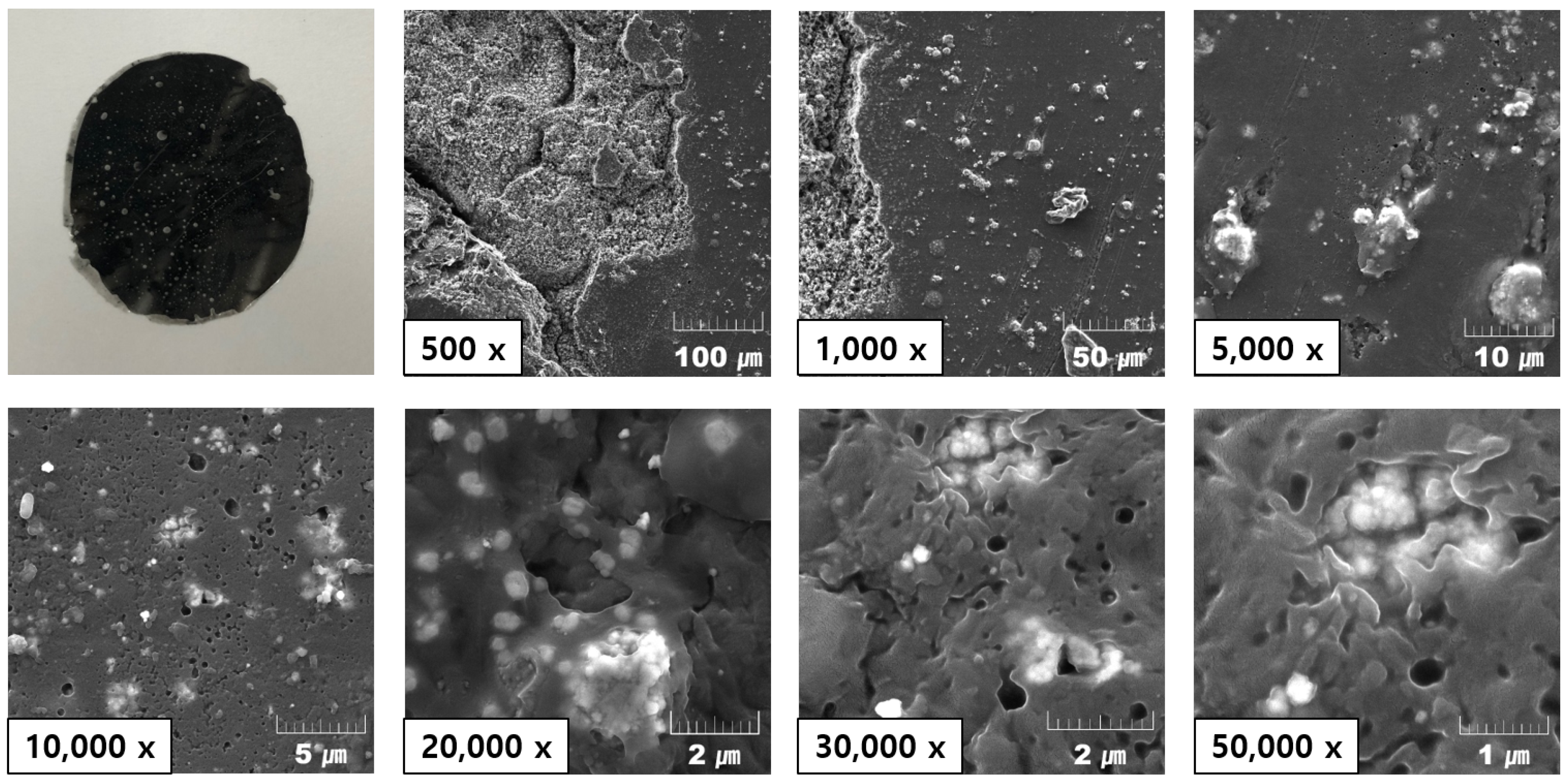 Materials 13 00318 g005