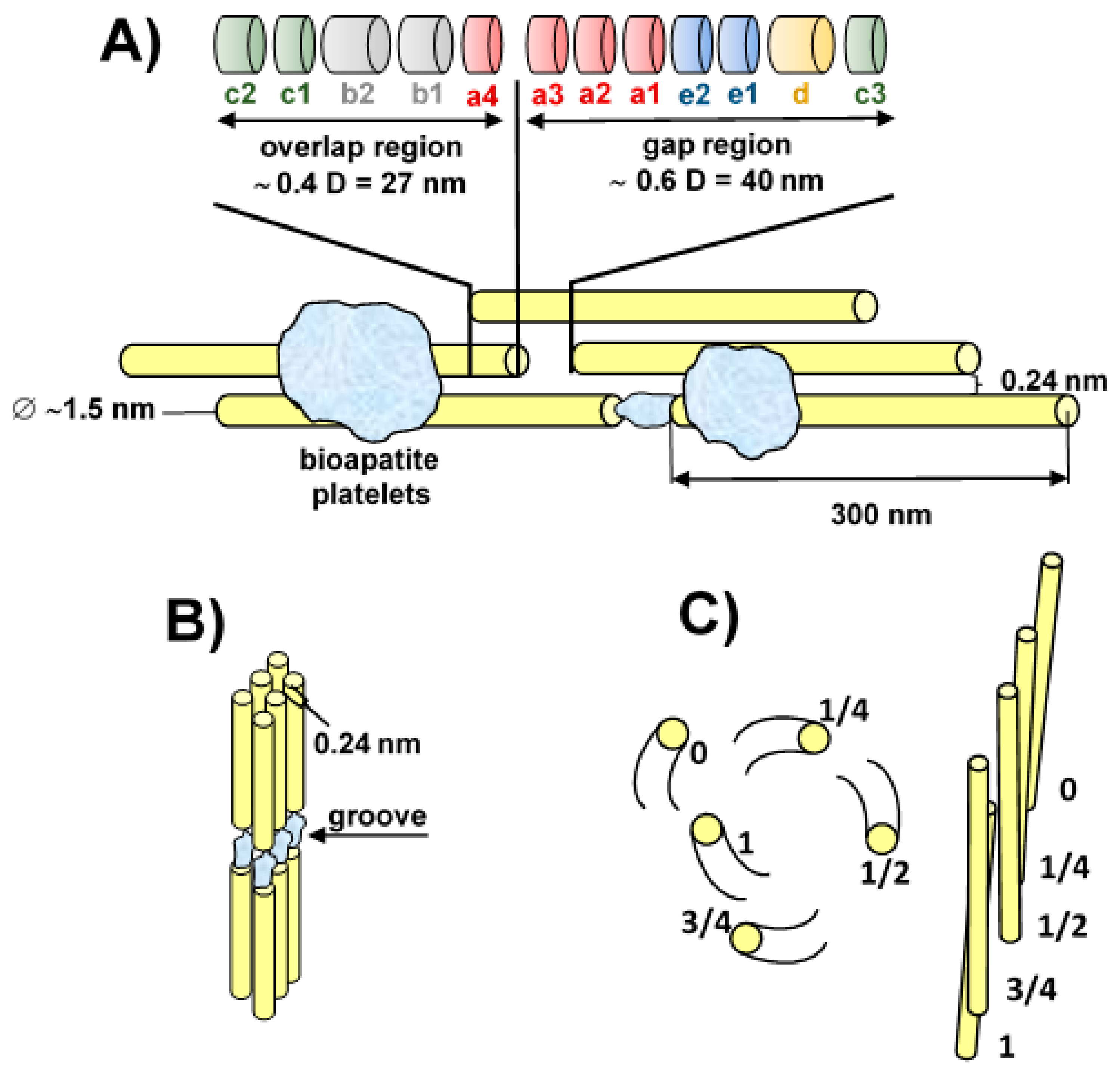 Materials 13 00327 g001 Materials 13 00327 g001