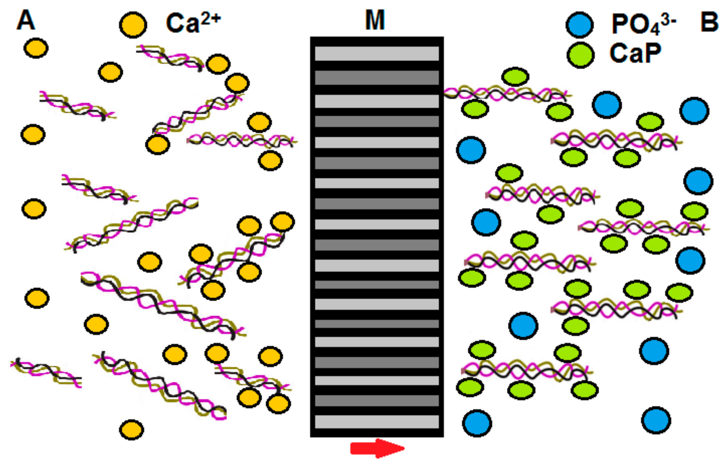 Materials 13 00327 g002 Materials 13 00327 g002