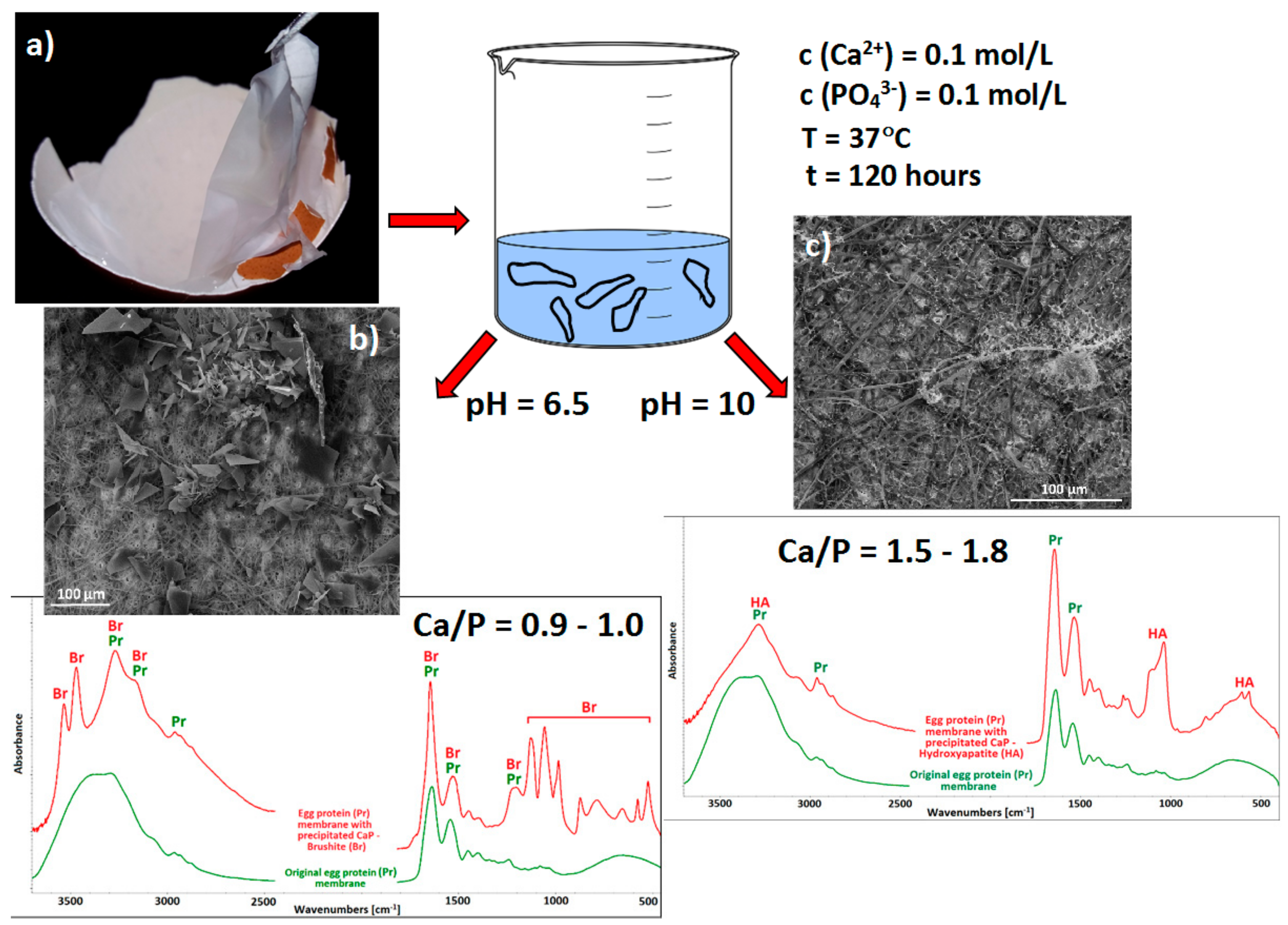 Materials 13 00327 g003 Materials 13 00327 g003