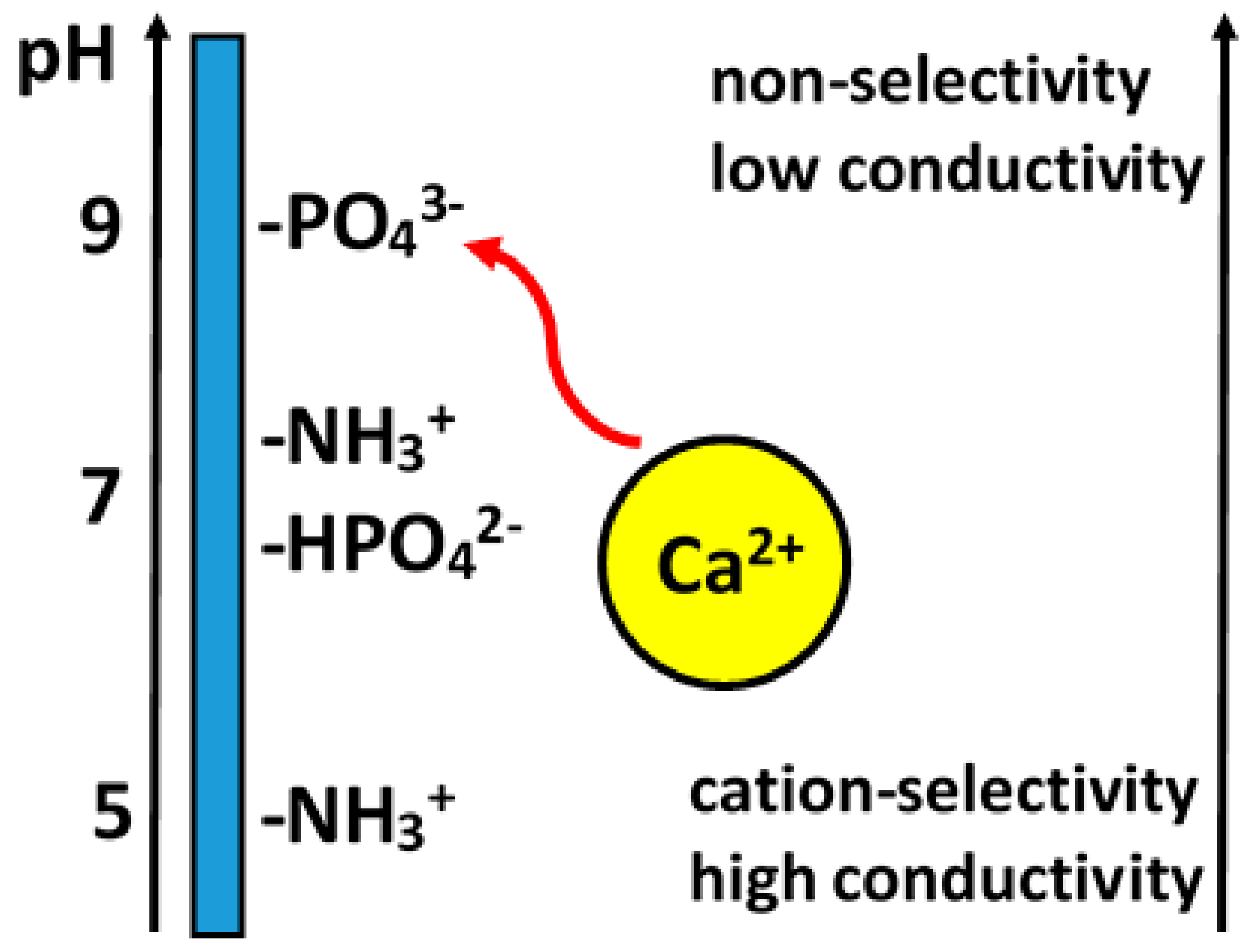 Materials 13 00327 g009 Materials 13 00327 g009