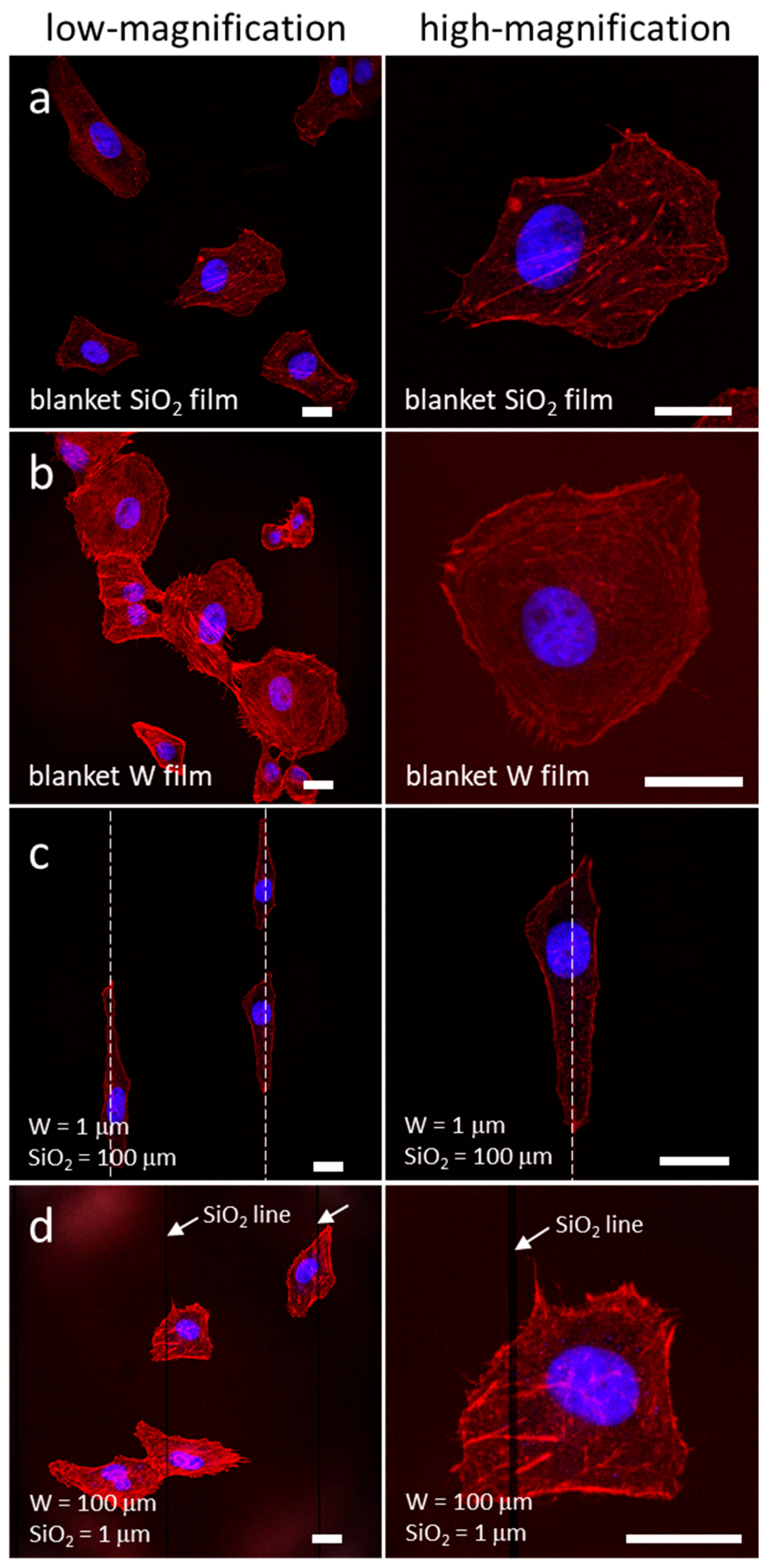 Materials 13 00335 g001