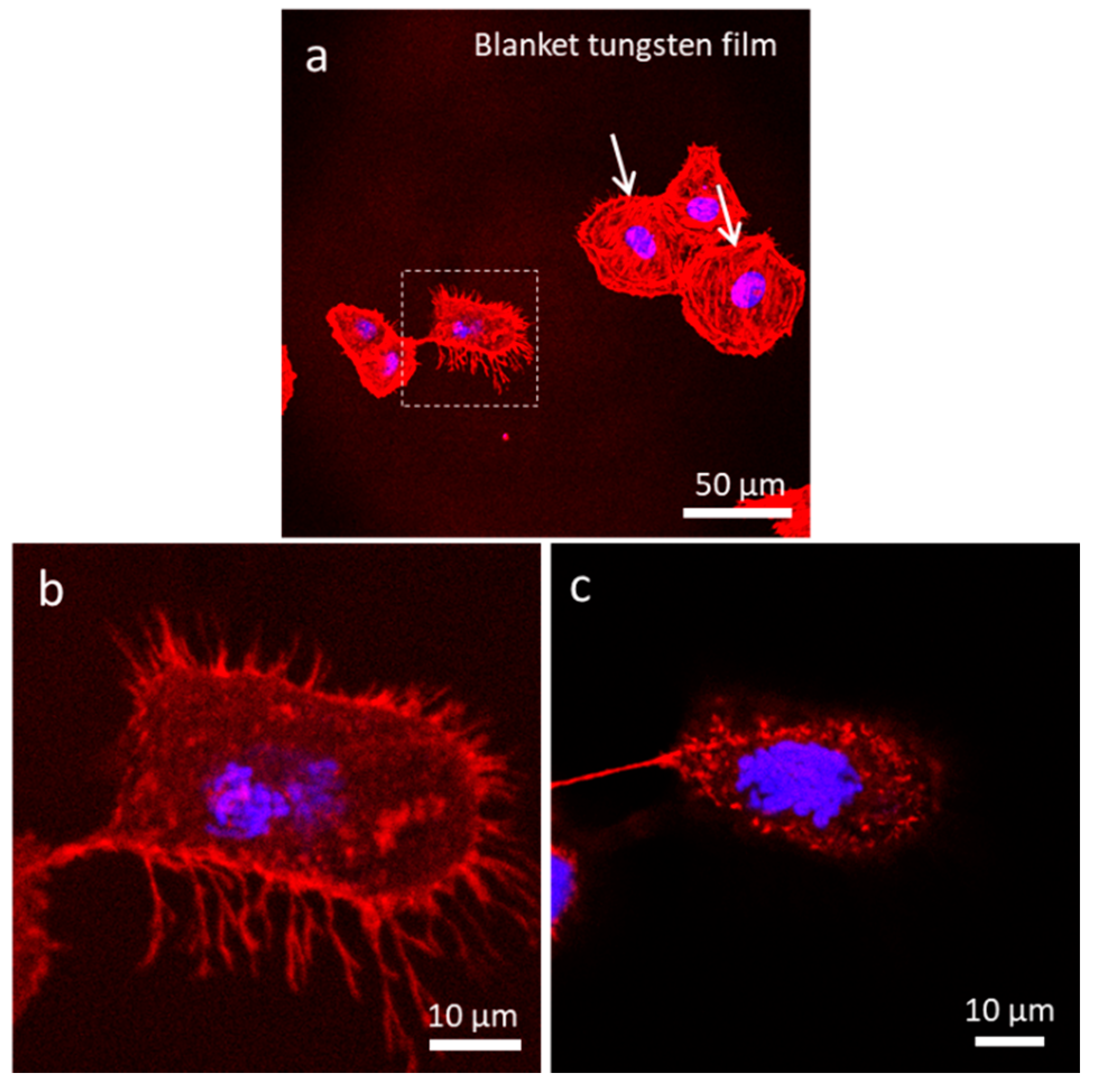 Materials 13 00335 g006