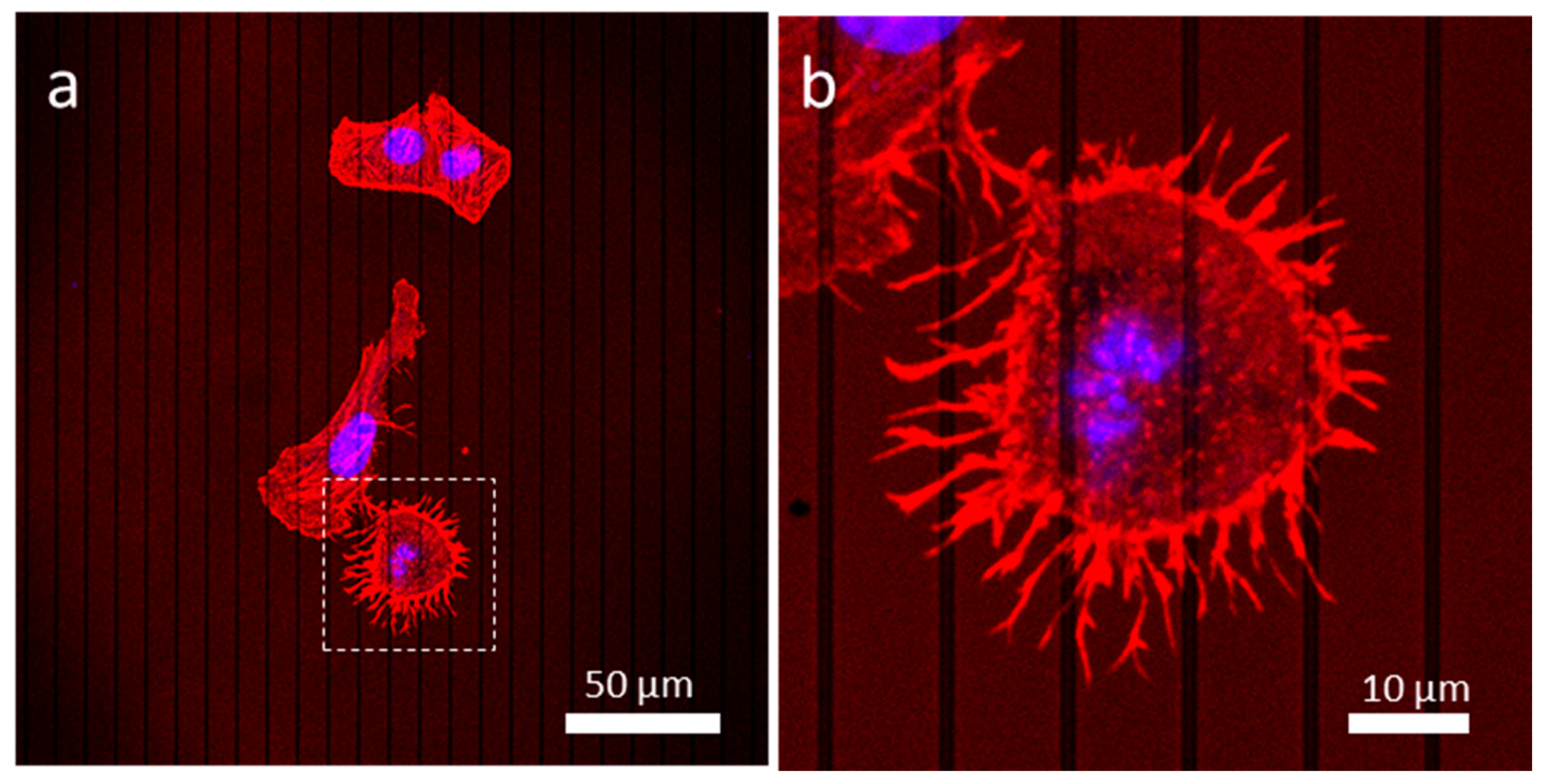 Materials 13 00335 g007