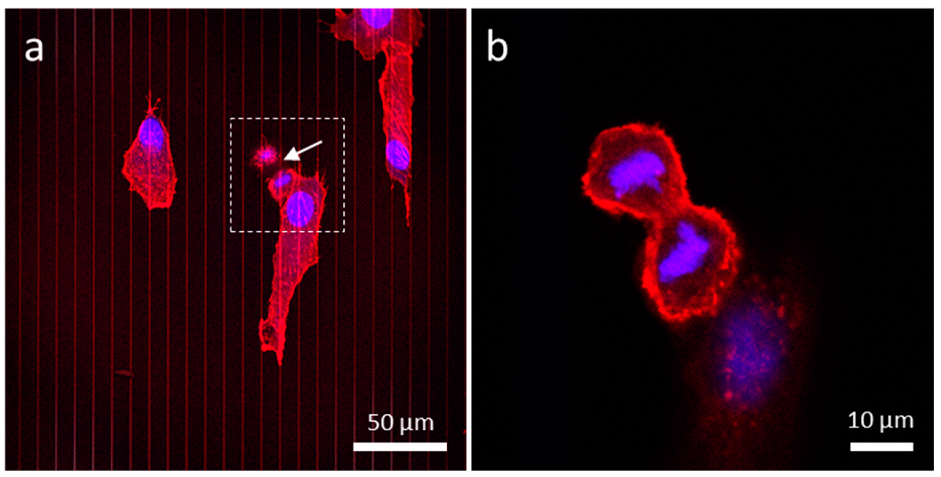 Materials 13 00335 g009