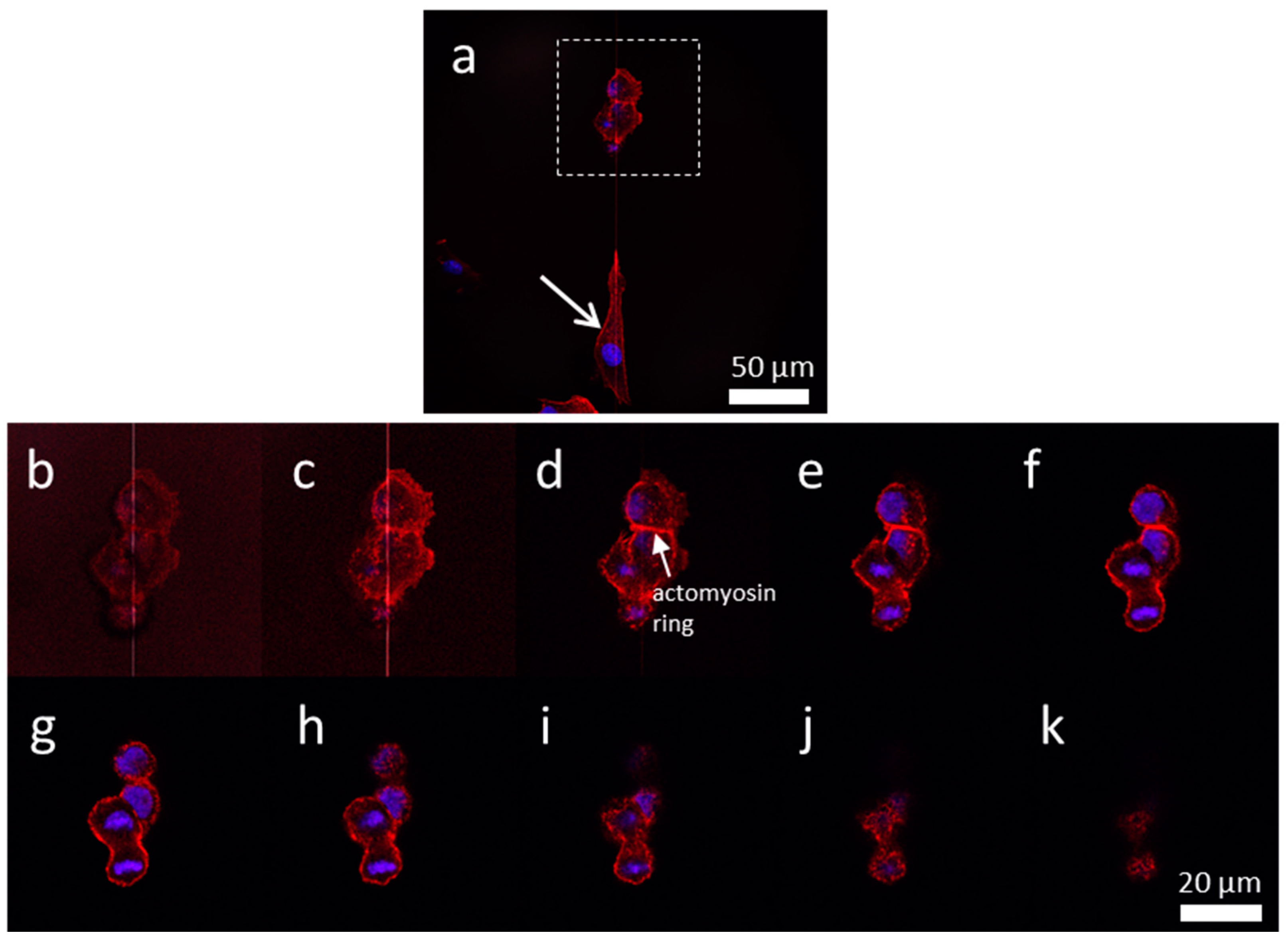 Materials 13 00335 g010