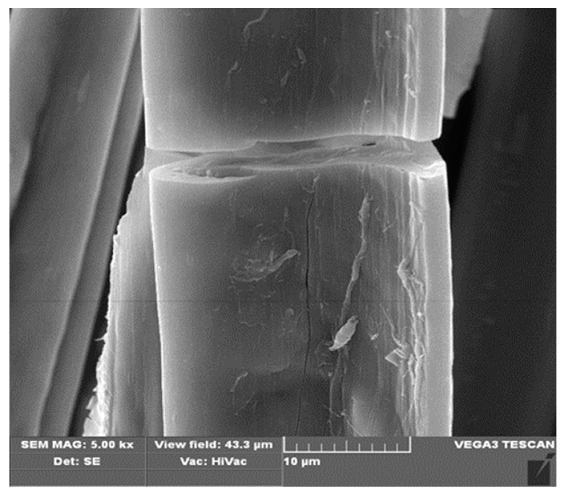 Materials 13 00337 g006a