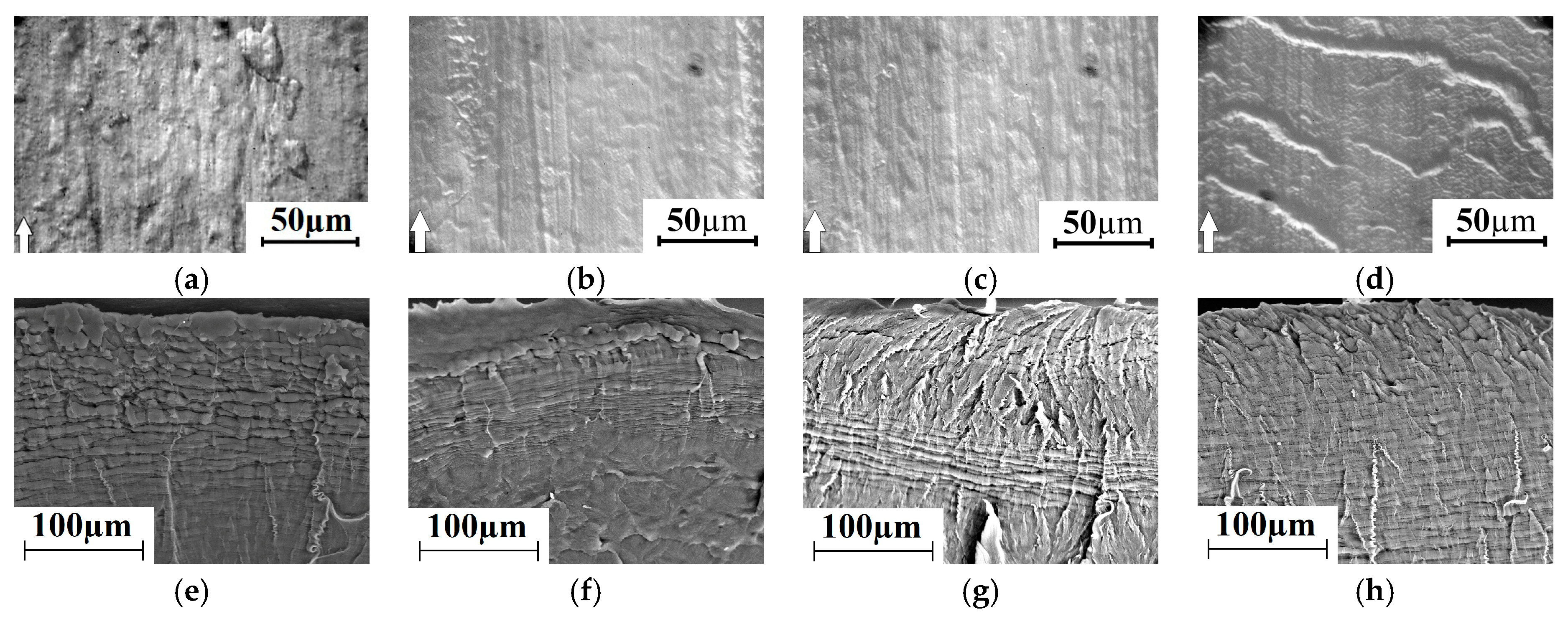 Materials 13 00338 g011