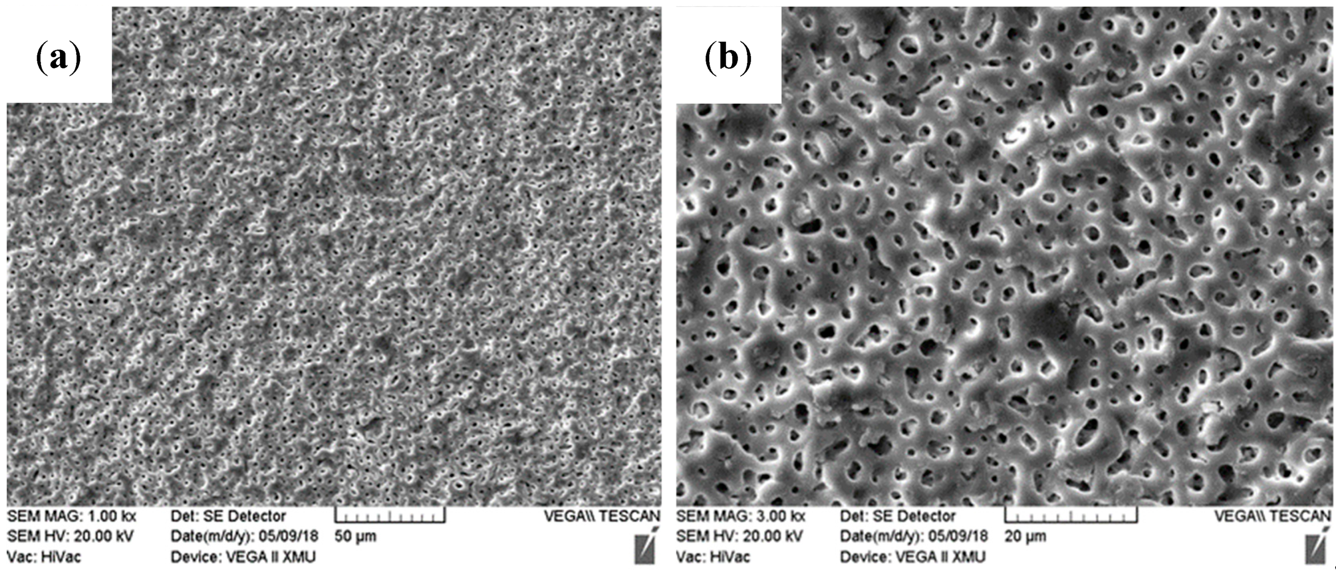 Materials 13 00345 g002a Materials 13 00345 g002a