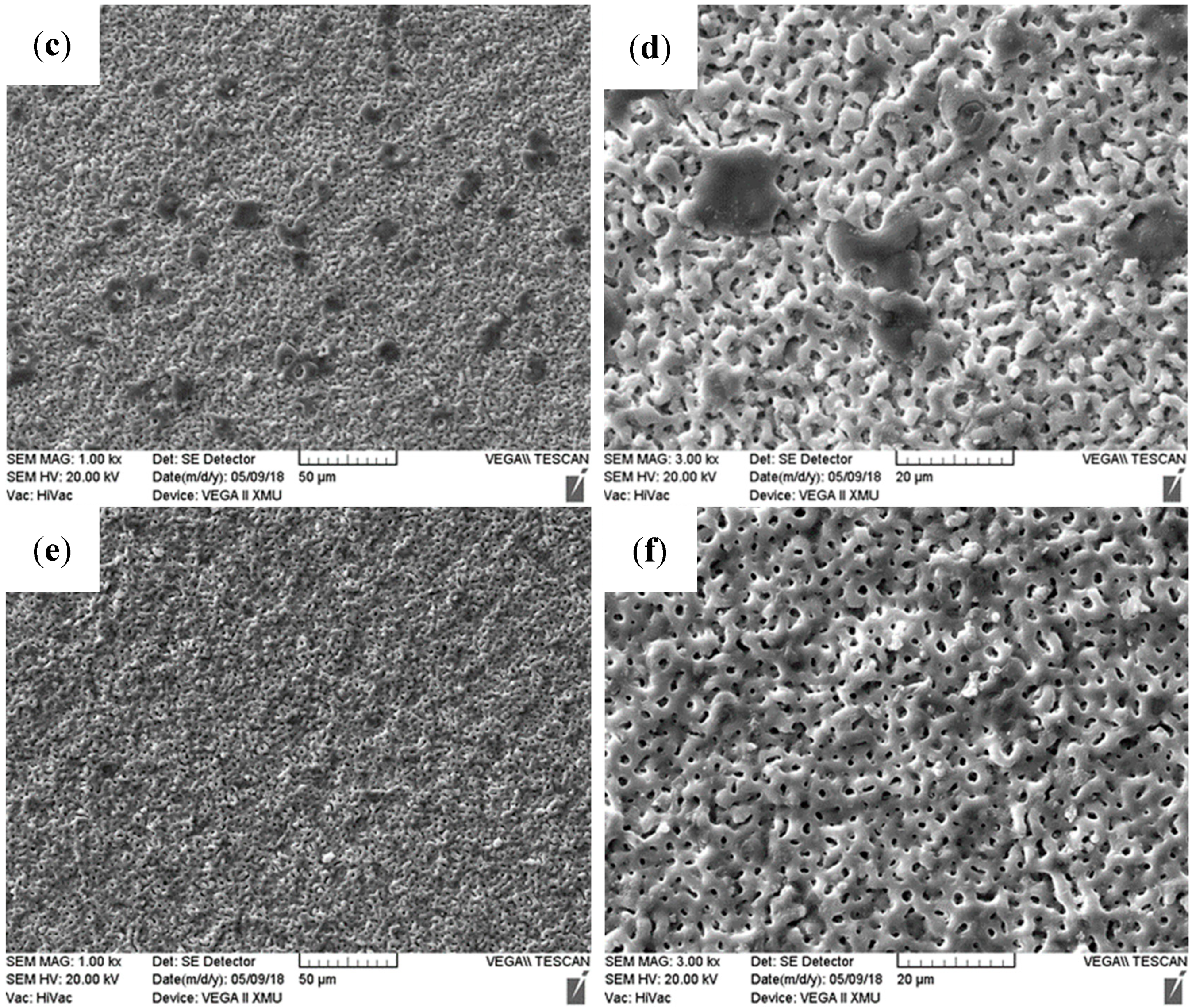 Materials 13 00345 g002b Materials 13 00345 g002b