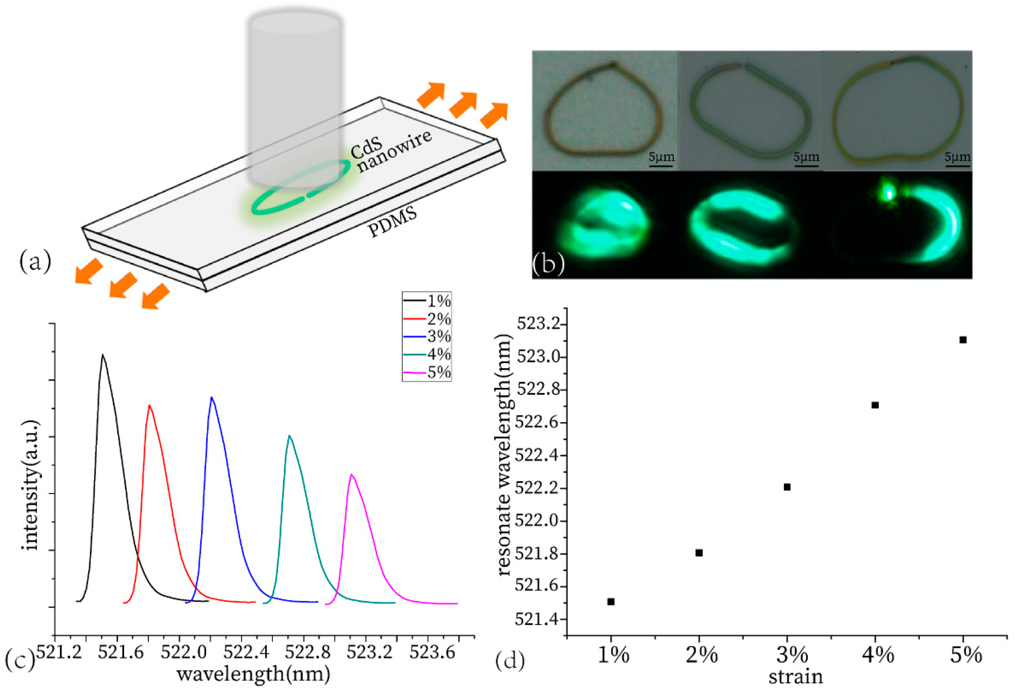 Materials 13 00347 g006