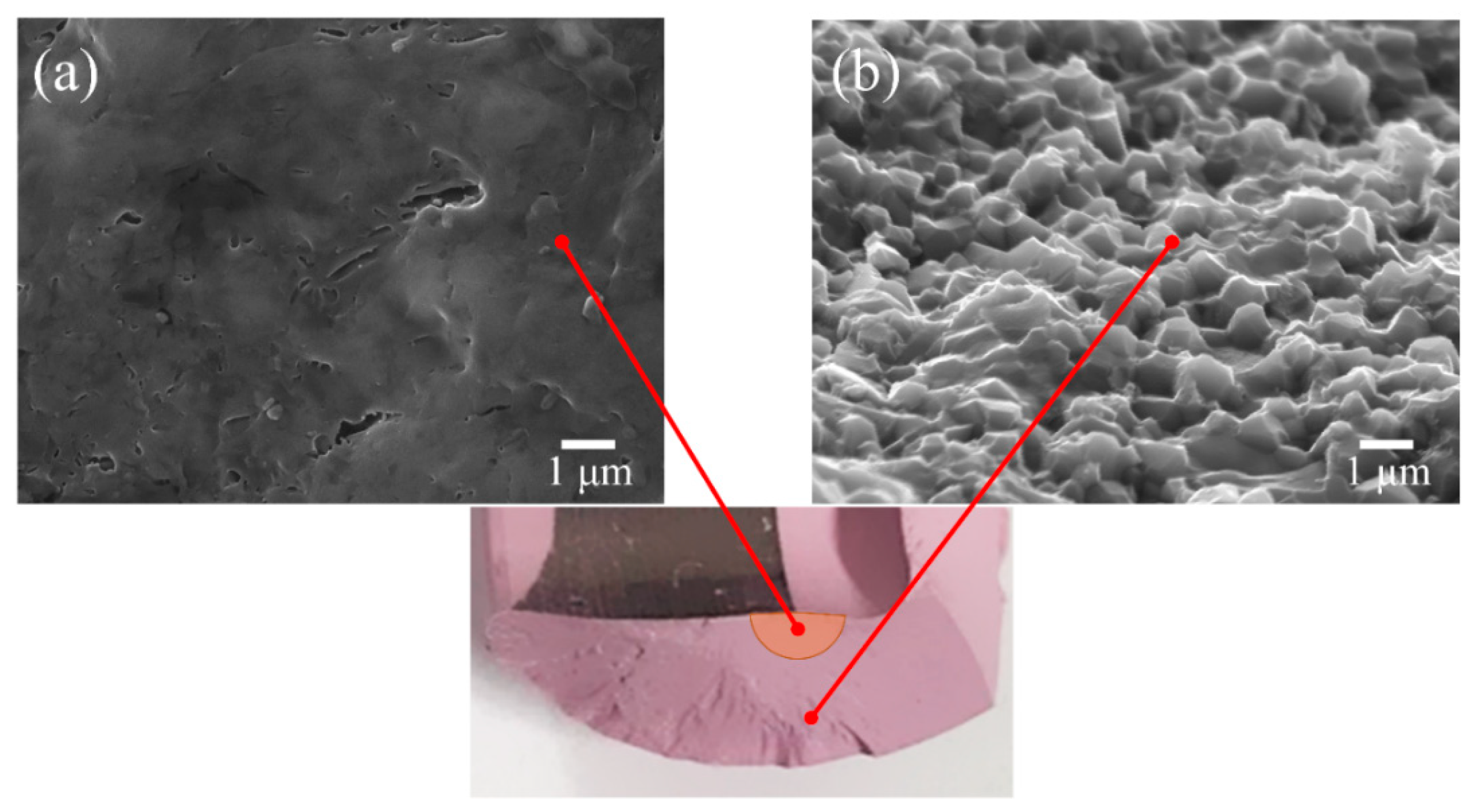 Materials 13 00350 g005