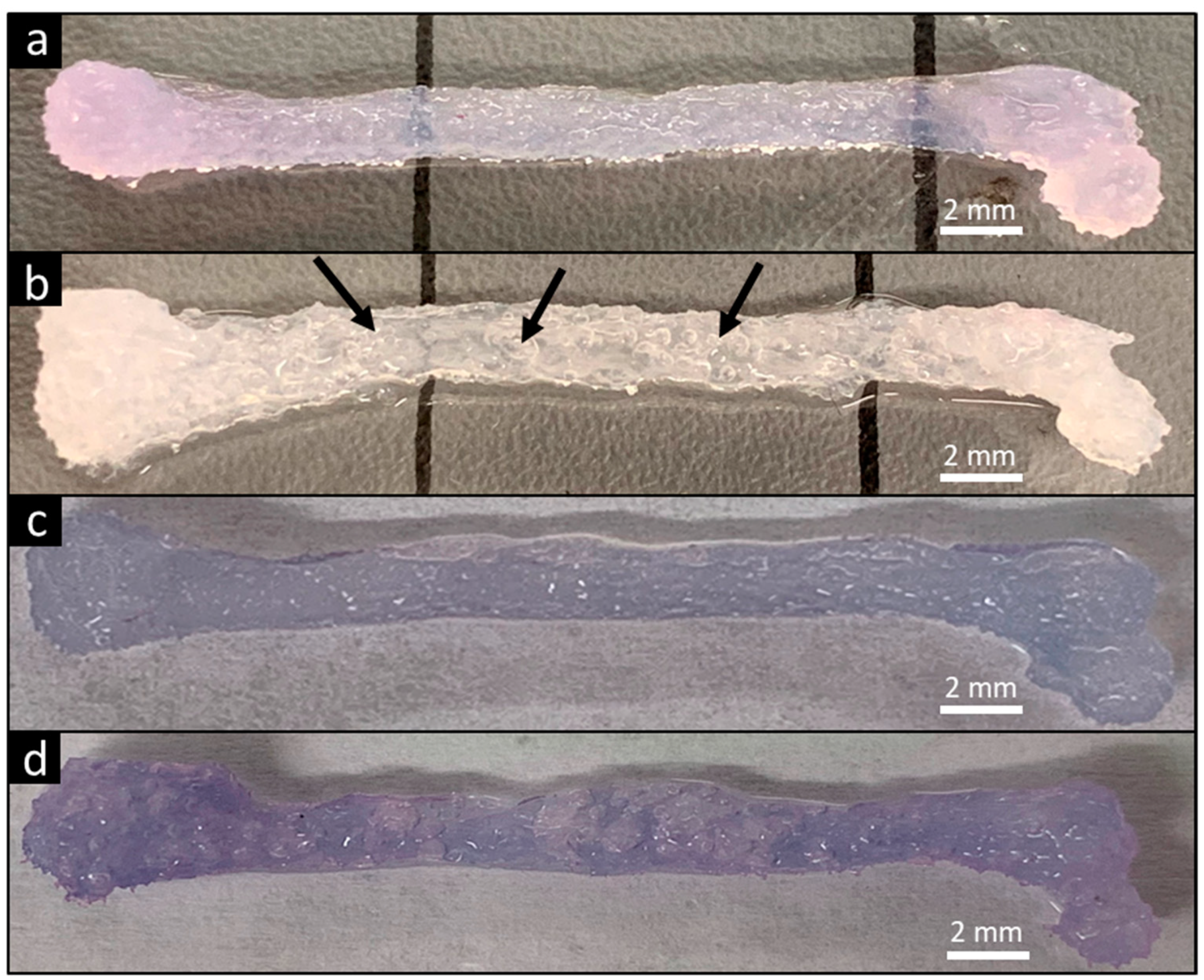 Materials 13 00354 g006