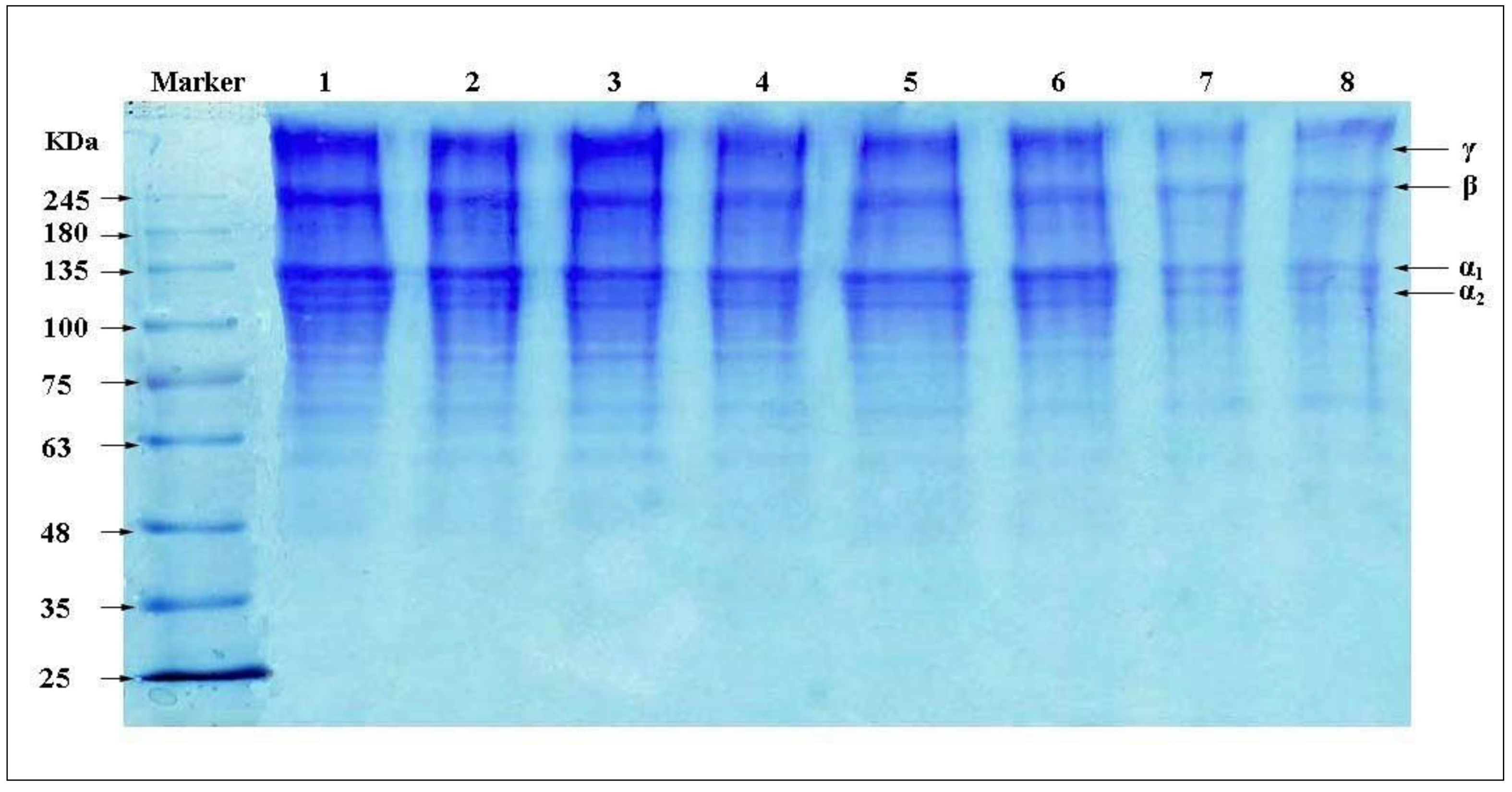 Materials 13 00358 g001