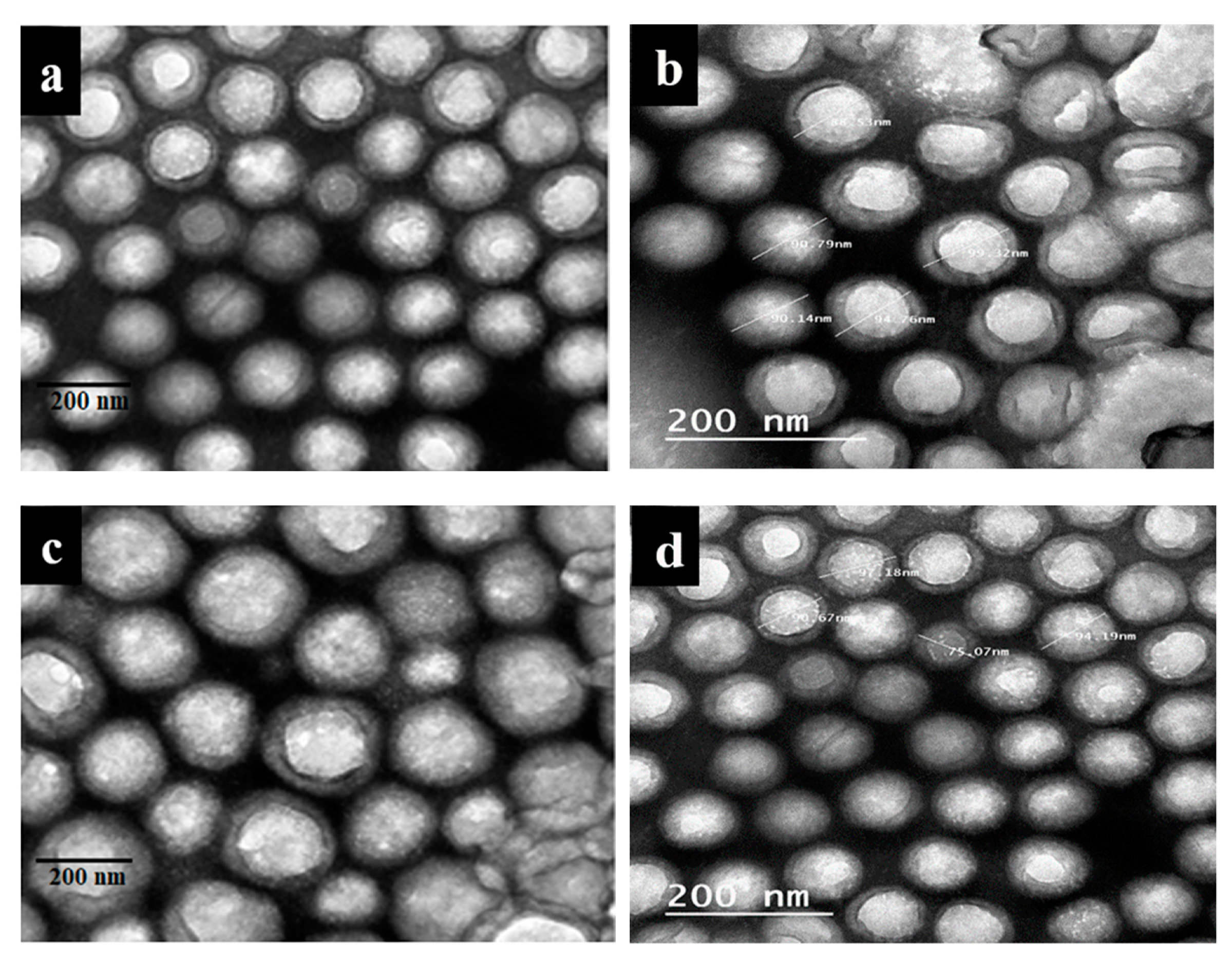 Materials 13 00363 g002a