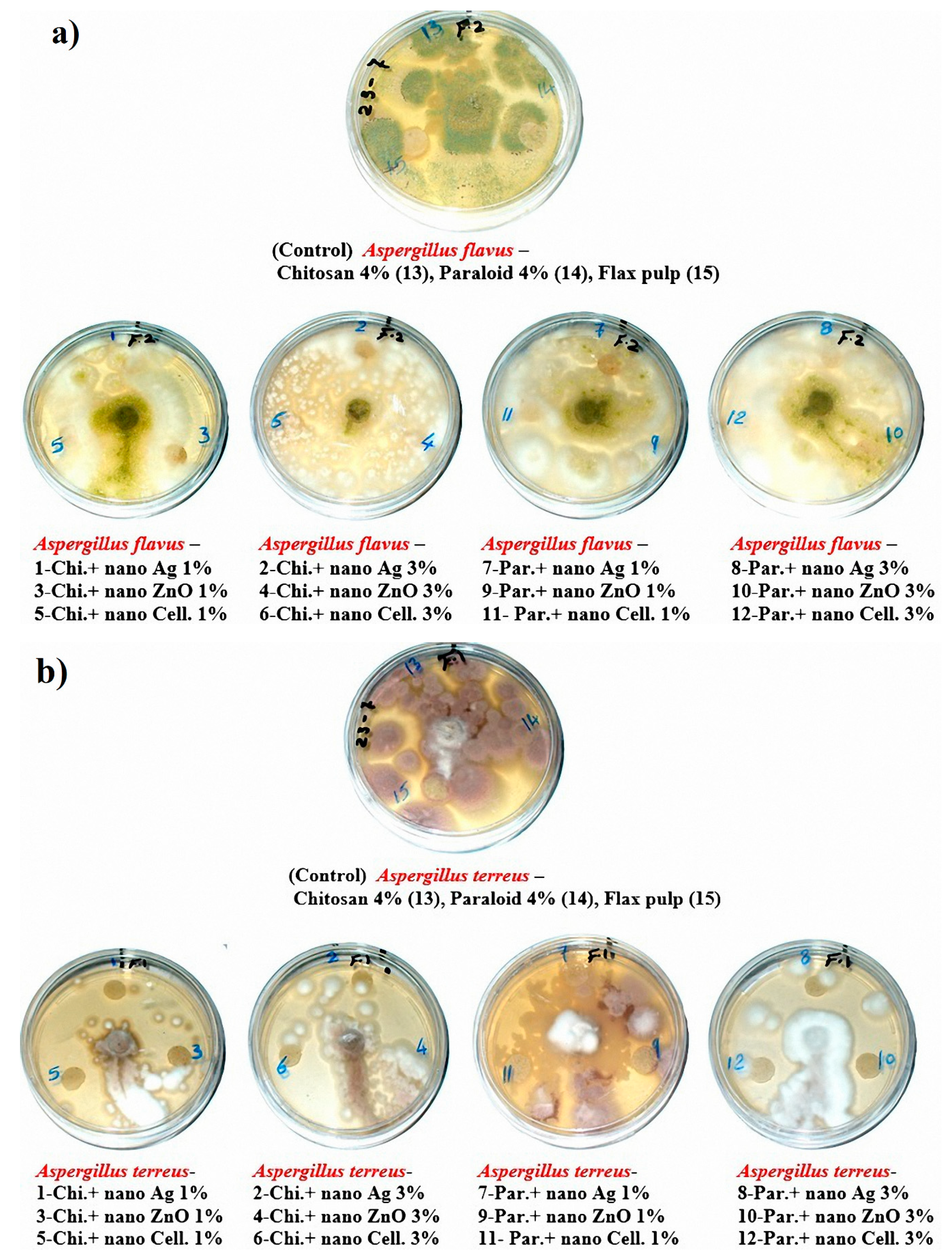 Materials 13 00363 g004a