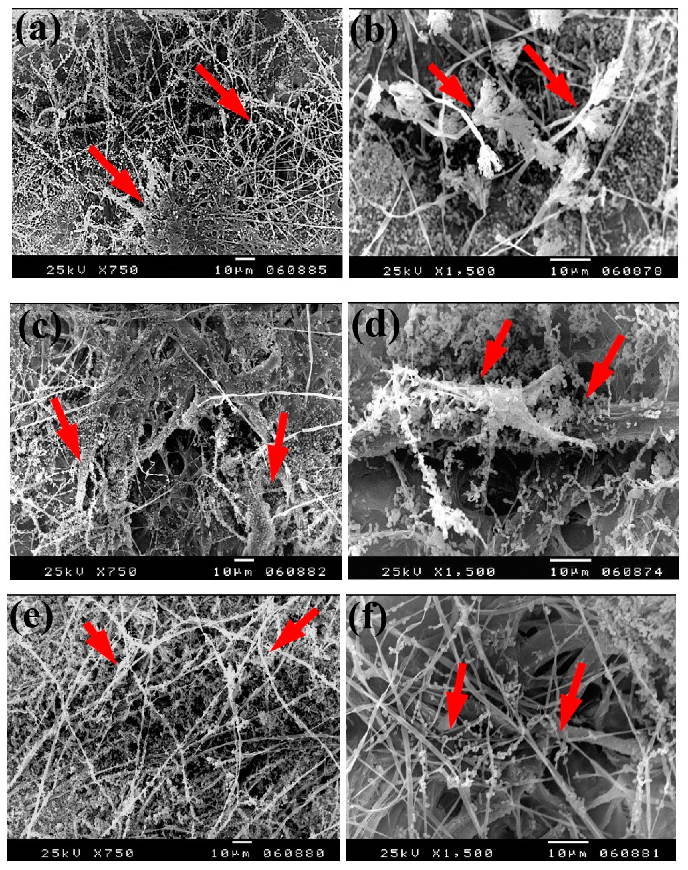 Materials 13 00363 g005a