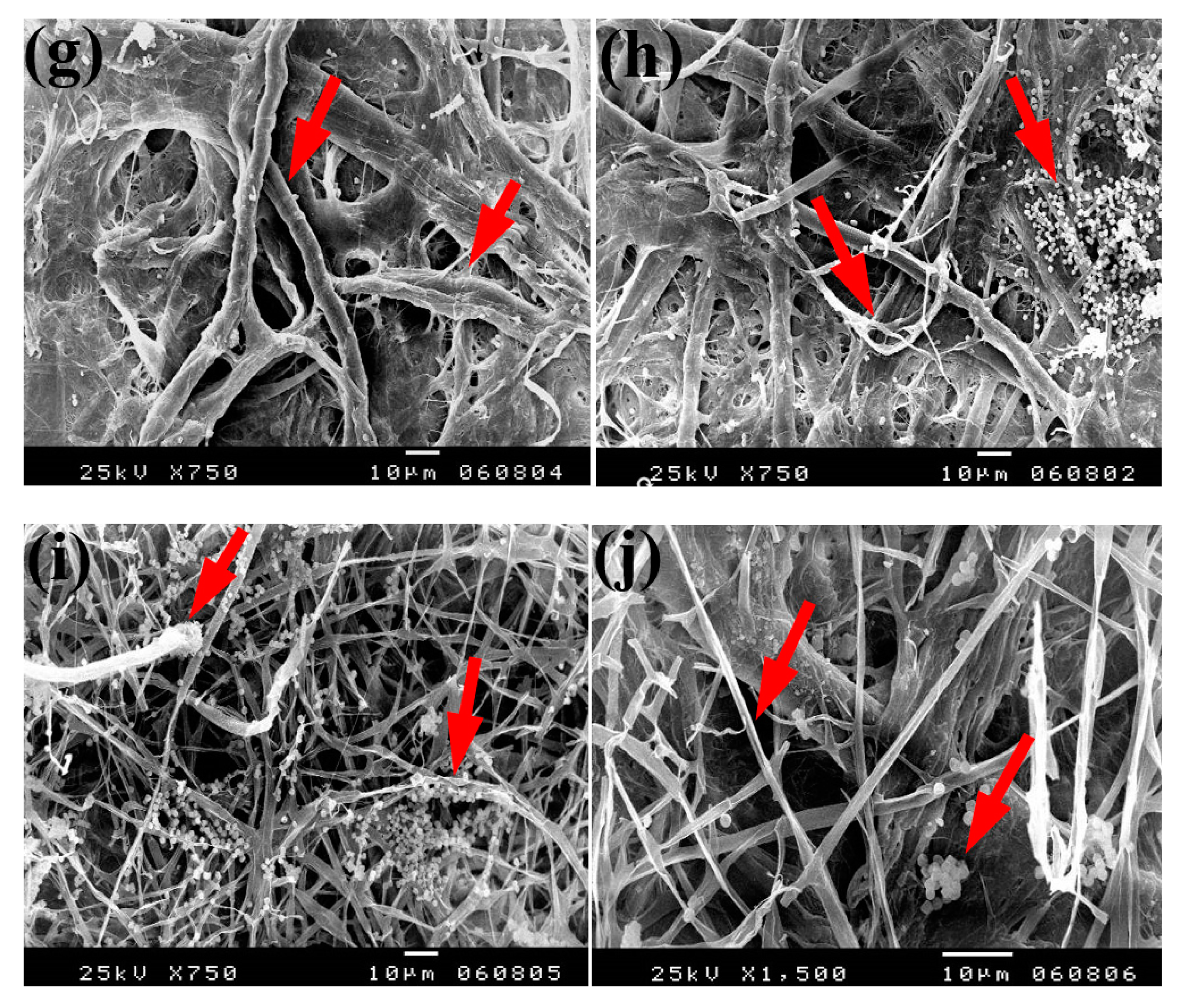 Materials 13 00363 g006b