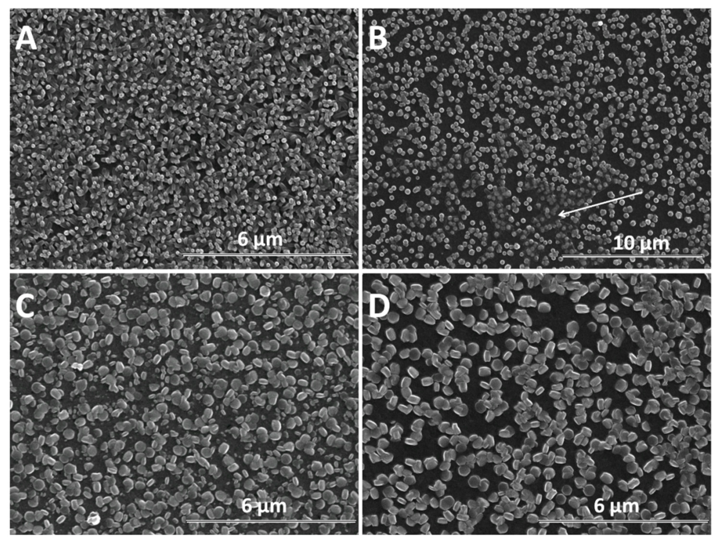 Materials 13 00365 g004 Materials 13 00365 g004