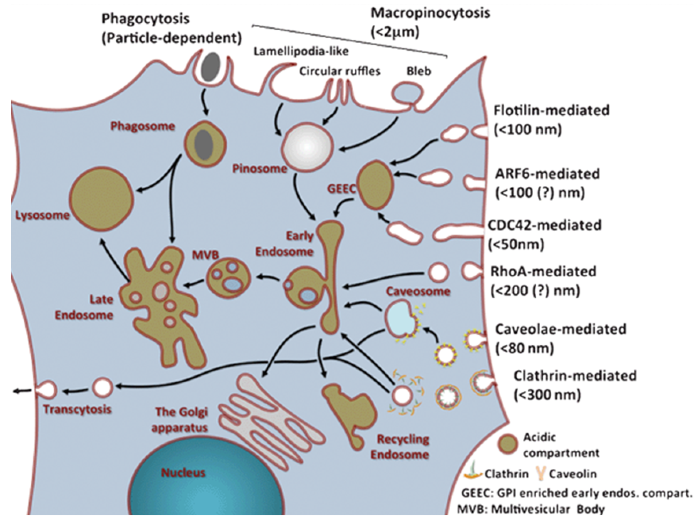 Materials 13 00366 g002