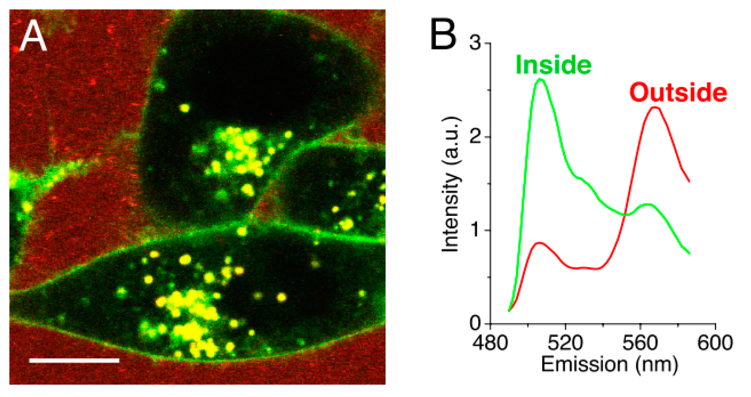 Materials 13 00366 g006